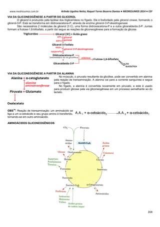 Arlindo Ugulino Netto; Raquel Torres Bezerra Dantas ● MEDRESUMOS 2014 ● CEF
204
www.medresumos.com.br
VIA DA GLICONEOGÊNESE A PARTIR DO GLICEROL
O glicerol é produzido pela lipólise dos triglicerídeos no fígado. Ele é fosforilado pela glicerol cinase, formando o
glicerol-3-P. Este se transforma em diidroxiacetona-P, através da enzima glicerol-3-P-desidrogenase.
São necessários 2 moléculas de glicerol (3 C), uma forma diidroxiacetona-P e a outra gliceraldeído-3-P. Juntas
formam a frutose-1,6-bifosfato, a partir daí segue as reações da gliconeogênese para a formação da glicose.
VIA DA GLICONEOGÊNESE A PARTIR DA ALANINA
No músculo, o piruvato resultante da glicólise, pode ser convertido em alanina
pela reação de transaminação. A alanina vai para a corrente sanguínea e segue
para o fígado.
No fígado, a alanina é convertida novamente em piruvato, e este é usado
para produzir glicose pela via gliconeogênese em um processo semelhante ao do
lactato.
OBS
14
: Reação de transaminação: um aminoácido se
liga a um α-cetoácido e seu grupo amino é transferido,
tornando-se em outro aminoácido.
AMINOÁCIDOS GLICONEOGÊNICOS
 