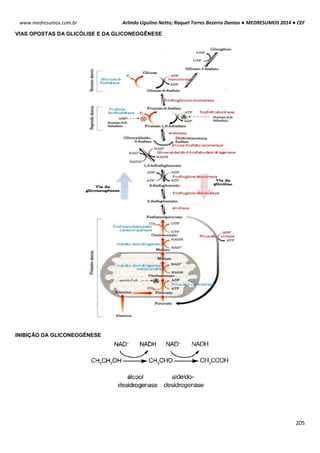 Arlindo Ugulino Netto; Raquel Torres Bezerra Dantas ● MEDRESUMOS 2014 ● CEF
205
www.medresumos.com.br
VIAS OPOSTAS DA GLICÓLISE E DA GLICONEOGÊNESE
INIBIÇÃO DA GLICONEOGÊNESE
 