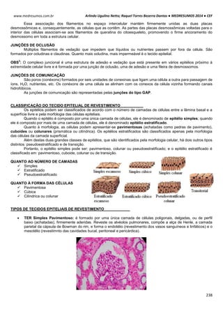 Arlindo Ugulino Netto; Raquel Torres Bezerra Dantas ● MEDRESUMOS 2014 ● CEF
238
www.medresumos.com.br
Essa associação dos filamentos no espaço intercelular mantém firmemente unidas as duas placas
desmossômicas e, consequentemente, as células que as contêm. As partes das placas desmossômicas voltadas para o
interior das células associam-se aos filamentos de queratina do citoesqueleto, promovendo o firme ancoramento do
desmossomo em toda a estrutura celular.
JUNÇÕES DE OCLUSÃO
Múltiplos filamentos de vedação que impedem que líquidos ou nutrientes passem por fora da célula. São
formados por ocludinas e claudinas. Quanto mais ocludina, mais impermeável é o tecido epitelial.
OBS
3
: O complexo juncional é uma estrutura de adesão e vedação que está presente em vários epitélios próximo à
extremidade celular livre e é formada por uma junção de oclusão, uma de adesão e uma fileira de desmossomos.
JUNÇÕES DE COMUNICAÇÃO
São poros (conéxons) formados por seis unidades de conexinas que ligam uma célula a outra para passagem de
íons, H2O, nutrientes, etc. Os conéxons de uma célula se alinham com os conexos da célula vizinha formando canais
hidrofóbicos.
As junções de comunicação são representadas pelas junções do tipo GAP.
CLASSIFICAÇÃO DO TECIDO EPITELIAL DE REVESTIMENTO
Os epitélios podem ser classificados de acordo com o número de camadas de células entre a lâmina basal e a
superfície livre e pela morfologia das células epiteliais.
Quando o epitélio é composto por uma única camada de células, ele é denominado de epitélio simples; quando
ele é composto por mais de uma camada de células, ele é denominado epitélio estratificado.
Quanto à morfologia, as células podem apresentar-se pavimentosas (achatadas como pedras de pavimento),
cuboides ou colunares (prismática ou cilíndrica). Os epitélios estratificados são classificados apenas pela morfologia
das células da camada superficial.
Além destas duas grandes classes de epitélios, que são identificados pela morfologia celular, há dois outros tipos
distintos: pseudoestratificado e de transição.
Portanto, o epitélio simples pode ser: pavimentoso, colunar ou pseudoestratificado; e o epitélio estratificado é
classificado em: pavimentoso, cuboide, colunar ou de transição.
QUANTO AO NÚMERO DE CAMADAS
 Simples
 Estratificado
 Pseudoestratificado
QUANTO À FORMA DAS CÉLULAS
 Pavimentosa
 Cúbica
 Cilíndrica ou colunar
TIPOS DE TECIDOS EPITELIAIS DE REVESTIMENTO
 TER Simples Pavimentoso: é formado por uma única camada de células poligonais, delgadas, ou de perfil
baixo (achatadas), firmemente aderidas. Reveste os alvéolos pulmonares, compõe a alça de Henle, a camada
parietal da cápsula de Bowman do rim, e forma o endotélio (revestimento dos vasos sanguíneos e linfáticos) e o
mesotélio (revestimnto das cavidades bucal, peritoneal e pericárdica).
 