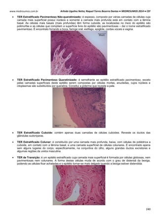 Arlindo Ugulino Netto; Raquel Torres Bezerra Dantas ● MEDRESUMOS 2014 ● CEF
240
www.medresumos.com.br
 TER Estratificado Pavimentoso Não-queratinizado: é espesso, composto por várias camadas de células cuja
camada mais superficial possui núcleos e somente a camada mais profunda está em contato com a lâmina
basal. As células mais basais (mais profundas) têm forma cuboide, as localizadas no meio do epitélio são
polimorfas e as células que compõem a superfície livre do epitélio são pavimentosas – daí o nome estratificado
pavimentoso. É encontrato forrando a boca, faringe oral, esôfago, epiglote, cordas vocais e vagina.
 TER Estratificado Pavimentoso Queratinizado: é semelhante ao epitélio estratificado pavimentoso, exceto
pelas camadas superficiais deste epitélio serem compostas por células mortas, anucledas, cujos núcleos e
citoplasmas são substituídos por queratina. Constitui a piderme que reveste a pele.
 TER Estratificado Cuboide: contém apenas duas camadas de células cuboides. Reveste os ductos das
glândulas sudoríparas.
 TER Estratificado Colunar: é constituído por uma camada mais profunda, baixa, com células de poliédrica a
cuboide, em contato com a lâmina basal, e uma camada superficial de células colunares. É encontrado apena
sem alguns lugares do corpo, especificamente, na conjuntiva do olho, alguns grandes ductos excretores e
algumas regiões da uretra masculina.
 TER de Transição: é um epitélio estratificado cuja camada mais superficial é formada por células globosas, nem
pavimentosas nem colunares. A forma destas células muda de acordo com o grau de distensã da bexiga,
podendo as células ficar achatadas e o epitélio tornar-se mais delgado quando a bexiga estiver distendida.
 