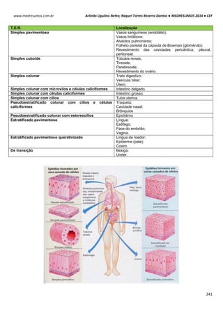 Arlindo Ugulino Netto; Raquel Torres Bezerra Dantas ● MEDRESUMOS 2014 ● CEF
241
www.medresumos.com.br
T.E.R. Localização
Simples pavimentoso Vasos sanguíneos (endotélio);
Vasos linfáticos;
Alvéolos pulmonares;
Folheto parietal da cápsula de Bowman (glomérulo);
Revestimento das cavidades pericárdica, pleural,
peritoneal.
Simples cuboide Túbulos renais;
Tireoide;
Paratireoide;
Revestimento do ovário.
Simples colunar Trato digestivo;
Vesícula biliar;
Útero.
Simples colunar com microvilos e células caliciformes Intestino delgado.
Simples colunar com células caliciformes Intestino grosso.
Simples colunar com cílios Tuba uterina.
Pseudoestratificado colunar com cílios e células
caliciformes
Traqueia;
Cavidade nasal;
Brônquios
Pseudoestratificado colunar com estereocílios Epidídimo
Estratificado pavimentoso Língua;
Esôfago;
Face do embrião;
Vagina.
Estratificado pavimentoso queratinizado Língua de roedor;
Epiderme (pele);
Coxim.
De transição Bexiga;
Ureter.
 