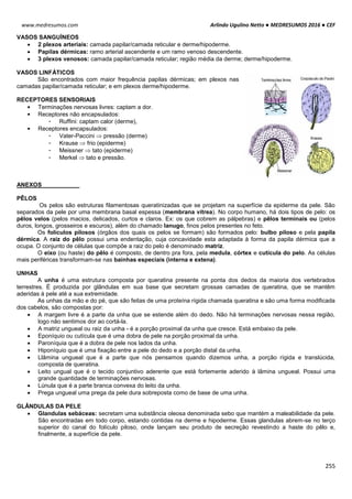 Arlindo Ugulino Netto ● MEDRESUMOS 2016 ● CEF
255
www.medresumos.com
VASOS SANGUÌNEOS
 2 plexos arteriais: camada papilar/camada reticular e derme/hipoderme.
 Papilas dérmicas: ramo arterial ascendente e um ramo venoso descendente.
 3 plexos venosos: camada papilar/camada reticular; região média da derme; derme/hipoderme.
VASOS LINFÁTICOS
São encontrados com maior frequência papilas dérmicas; em plexos nas
camadas papilar/camada reticular; e em plexos derme/hipoderme.
RECEPTORES SENSORIAIS
• Terminações nervosas livres: captam a dor.
• Receptores não encapsulados:
- Ruffini: captam calor (derme),
• Receptores encapsulados:
- Vater-Paccini  pressão (derme)
- Krause  frio (epiderme)
- Meissner  tato (epiderme)
- Merkel  tato e pressão.
ANEXOS
PÊLOS
Os pelos são estruturas filamentosas queratinizadas que se projetam na superfície da epiderme da pele. São
separados da pele por uma membrana basal espessa (membrana vítrea). No corpo humano, há dois tipos de pelo: os
pêlos velos (pelos macios, delicados, curtos e claros. Ex: os que cobrem as pálpebras) e pêlos terminais ou (pelos
duros, longos, grosseiros e escuros), além do chamado lanugo, finos pelos presentes no feto.
Os folículos pilosos (órgãos dos quais os pelos se formam) são formados pelo: bulbo piloso e pela papila
dérmica. A raiz do pêlo possui uma endentação, cuja concavidade esta adaptada à forma da papila dérmica que a
ocupa. O conjunto de células que compõe a raiz do pelo é denominado matriz.
O eixo (ou haste) do pêlo é composto, de dentro pra fora, pela medula, córtex e cutícula do pelo. As células
mais periféricas transformam-se nas bainhas especiais (interna e extena).
UNHAS
A unha é uma estrutura composta por queratina presente na ponta dos dedos da maioria dos vertebrados
terrestres. É produzida por glândulas em sua base que secretam grossas camadas de queratina, que se mantêm
aderidas à pele até a sua extremidade.
As unhas da mão e do pé, que são feitas de uma proteína rígida chamada queratina e são uma forma modificada
dos cabelos, são compostas por:
 A margem livre é a parte da unha que se estende além do dedo. Não há terminações nervosas nessa região,
logo não sentimos dor ao cortá-la.
 A matriz ungueal ou raiz da unha - é a porção proximal da unha que cresce. Está embaixo da pele.
 Eponíquio ou cutícula que é uma dobra de pele na porção proximal da unha.
 Paroníquia que é a dobra de pele nos lados da unha.
 Hiponíquio que é uma fixação entre a pele do dedo e a porção distal da unha.
 Llâmina ungueal que é a parte que nós pensamos quando dizemos unha, a porção rígida e translúcida,
composta de queratina.
 Leito ungual que é o tecido conjuntivo aderente que está fortemente aderido à lâmina ungueal. Possui uma
grande quantidade de terminações nervosas.
 Lúnula que é a parte branca convexa do leito da unha.
 Prega ungueal uma prega da pele dura sobreposta como de base de uma unha.
GLÂNDULAS DA PELE
 Glandulas sebáceas: secretam uma substância oleosa denominada sebo que mantém a maleabilidade da pele.
São encontradas em todo corpo, estando contidas na derme e hipoderme. Essas glandulas abrem-se no terço
superior do canal do folículo piloso, onde lançam seu produto de secreção revestindo a haste do pêlo e,
finalmente, a superfície da pele.
 