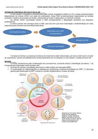 Arlindo Ugulino Netto; Raquel Torres Bezerra Dantas ● MEDRESUMOS 2016 ● CEF
26
www.medresumos.com.br
SITEMA DE CONTROLE DO CICLO CELULAR
O ciclo celular é controlado e acompanhado pelas ciclinas (reguladora mitótica ou G1) e pelas proteinoquinases
[dependentes de ciclinas (CDK), com ação de proliferação]. Essas CDK (proteinoquinases dependentes de ciclinas)
controlam o sistema do processo de divisão, observando se é para a célula parar ou continuar a divisão.
As ciclinas sofrem acumulação (ativam a CDK correspondente) e degradação periódicas (via ubiquitina-
proteossoma).
A ciclina sozinha não consegue ativar a CDK, para isso tem que haver fosforilação e desfosforilação em sítios
específicos para tornarem-se enzimaticamente ativas.
A síntese de ciclinas e a presença de fatores de crescimento estão relacionadas, por isso se não houver um fator
de crescimento, haverá uma deficiência de ciclinas decorrendo em um bloqueio no ciclo celular e a célula entra em G0.
MITOSE
A mitose caracteriza-se pela condensação dos cromossomos, ocorrendo devido a fosforilação da histona 1. As
consequências observadas neste processo são:
 Acúmulo de ciclinas e sua ligação para formar o fator protetor de maturação (MPF).
 A condensação do material genético é realizada por condensinas, proteínas fosforiladas por CDK1. A citocinese
gerada pela desativação do MPF coordena a divisão citoplasmática e nuclear da célula.
Acumulação da ciclina Associação com a CDK
correspondente
Ativação da CDK
CDK ativa: fosforilaçãoEventos do ciclo celular
 