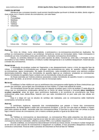 Arlindo Ugulino Netto; Raquel Torres Bezerra Dantas ● MEDRESUMOS 2016 ● CEF
27
www.medresumos.com.br
FASES DA MITOSE
Admite-se que o processo durante o qual ocorrem transformações que levam à divisão da célula, dando origem a
duas outras com o mesmo número de cromossomos, com seis fases:
 Prófase
 Prometáfase
 Metáfase
 Anáfase
 Telófase
 Citocinese
PRÓFASE
No início da mitose, numa célula diploide, o centrossomo e os cromossomos encontram-se duplicados. Na
prófase os cromossomos começam a se condensar, tornando-se visíveis ao microscópio óptico. Cada cromossomo é
constituído por dois cromatídeos unidos pelo centrômero, chamados cromossomos dicromatídeos.
Depois, os centríolos deslocam-se para polos opostos da célula, iniciando-se, entre eles, a formação do fuso
acromático ou fuso mitótico. Entretanto, o invólucro nuclear desorganiza-se e os nucléolos desaparecem. Essencial para
a divisão dos cromossomos.
PROMETÁFASE
A dissolução do envelope nuclear em fragmentos e seu desaparecimento marca o início da segunda fase da
mitose, a prometáfase. Os microtúbulos que emergem dos centrossomas nos polos do aparelho mitótico atingem
os cromossomas, agora condensados. Na região do centrômero, cada cromátide irmã possui uma estrutura proteica
denominada cinetócoro. Alguns dos microtúbulos do aparelho ligam-se ao cinetócoro, arrastando os cromossomas.
Outros microtúbulos do aparelho fazem contacto com os microtúbulos vindos do polo oposto.
As forças exercidas por motores proteicos associados a estes microtúbulos do aparelho movem o cromossoma
até ao centro da célula. Ja se tornam visíveis por meio do microscópio óptico.
METÁFASE
A metáfase é a fase mitótica em que os centrômeros dos cromossomos estão ligados às fibras cinetocóricas que
provêm dos centríolos, que se ligam aos microtúbulos do fuso mitótico. É a fase mais estável da mitose.
Os cromatídeos tornam-se bem visíveis e logo em seguida se partem para o início da anáfase. É nesta altura da
mitose que os cromossomos condensados alinham-se no centro da célula, formando a chamada placa metafásica
ou placa equatorial, antes de terem seus centrômeros duplicados e da ocorrência do encurtamento das fibras
cinetocóricas pelas duas células-filhas, fazendo com que cada cromátide-irmã vá para cada polo das células em
formação.
Essa é a etapa em que os estudos do cariótipo são realizados, pois os cromossomos estão totalmente
condensados, tornando-se visíveis.
ANÁFASE
O centrômero duplica-se, separando dois cromatoplastídeos que passam a formar dois cromossomos
independentes. As fibrilas ligadas a estes dois cromossomos encolhem, o que faz com que estes se afastem e migrem
para polos opostos da célula - ascensão polar dos cromossomos-filhos. O que leva a que no final, em ambos os polos
haja o mesmo número de cromossomos, com o mesmo conteúdo genético e igual ao da célula mãe.
TELÓFASE
Na Telófase os cromossomos se descondensam, os cromossomos filhos estão presentes nos dois polos da
célula e uma nova membrana nuclear organiza-se ao redor de cada conjunto cromossômico. Com a descondensação, os
cromossomos retornam à atividade, voltando a produzir RNA, e os nucléolos reaparecem.
Durante a telófase, os cromossomos descondensam tornando-se menos visíveis. O invólucro nuclear reorganiza-
se em torno de cada conjunto de cromossomos e reaparecem os nucléolos. O fuso acromático desaparece e dá-se por
concluída a cariocinese. Inicia-se então o processo de Citocinese ao final da fase de Telófase.
 