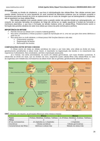 Arlindo Ugulino Netto; Raquel Torres Bezerra Dantas ● MEDRESUMOS 2016 ● CEF
28
www.medresumos.com.br
CITOCINESE
Consiste na divisão do citoplasma, o que leva à individualização das células-filhas. Nas células animais (sem
parede celular) forma-se na zona equatorial um anel contráctil de filamentos proteicos que se contraem puxando a
membrana para dentro levando de início ao aparecimento de um sulco de clivagem que vai estrangulando o citoplasma,
até se separarem as duas células-filhas.
Nas células vegetais (com parede celular) como a parede celular não permite divisão por estrangulamento, um
conjunto de vesículas derivadas do complexo de Golgi vão alinhar-se na região equatorial e fundem-se formando a
membrana plasmática, o que leva à formação da lamela mediana entre as células-filhas. Posteriormente ocorre a
formação das paredes celulares de cada nova célula que cresce da parte central para a periferia.
IMPORTÂNCIA DA MITOSE
 Permite renovar as células com o mesmo material genético.
 Nos seres unicelulares a mitose já possui o papel da reprodução em si, uma vez que gera dois seres idênticos a
partir de um.
 Nos seres pluri ou multi celulares, a mitose possui três funções básicas e são elas:
 Crescimento corpóreo
 Regeneração de lesões
 Renovação dos tecidos
COMPARAÇÕES ENTRE MITOSE E MEIOSE
A mitose ocorre em todas as células somáticas do corpo e, por meio dela, uma célula se divide em duas,
geneticamente semelhantes à célula inicial. Assim, é importante na regeneração dos tecidos e no crescimento dos
organismos multicelulares. Nos unicelulares, permite a reprodução assexuada.
Já a meiose, nos seres pluricelulares, só ocorre em células germinativas, com duas divisões sucessivas. A
célula-mãe se divide em duas, que se dividem de novo, originando quatro células-filhas (três células-filhas no caso
da oogénese) com metade dos cromossomos da célula inicial: são os gametas, geneticamente diferentes entre si.
OBS
2
: Observe, em resumo, as principais diferenças entre mitose e meiose:
Mitose Meiose
Fases Prófase; Metáfase; Anáfase; Telófase 2x (Prófase; Metáfase; Anáfase; Telófase)
Filhas 2 4
N
o
de cromossomos 2n (diploide) ou n (haploide) n (haploide)
Ocorrência Células somáticas Células germinativas
Características das filhas Idênticas à célula-mãe Metade da célula-mãe
 