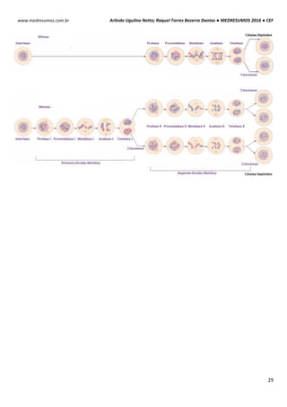 Arlindo Ugulino Netto; Raquel Torres Bezerra Dantas ● MEDRESUMOS 2016 ● CEF
29
www.medresumos.com.br
 