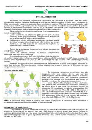 Arlindo Ugulino Netto; Raquel Torres Bezerra Dantas ● MEDRESUMOS 2016 ● CEF
30
www.medresumos.com.br
CITOLOGIA: RIBOSSOMOS
Ribossomos são organelas citoplasmáticas encontradas em procariotos e eucariotos. Eles são amplos
complexos de proteínas (proteínas ribossomais) e moléculas de RNAs ribossômicos (rRNAs), sendo 3 moléculas de
RNAr nos procariotos e quatro nos eucariotos. Esses complexos de proteínas [RNAr] são chamados subunidades e são
produzidos no nucléolo. A principal função dos ribossomos é servir de sítio de tradução, ou seja, síntese de proteínas
(reunião de aminoácidos em proteínas) uma vez que 2 subunidades (uma grande e uma pequena) são unidas pelo
mRNA em uma sequência especifica de aminoácidos ou uma cadeia polipeptídica.
São encontrados nas células sob duas formas: livres ou associados ao
retículo endoplasmático.
 Livres: encontrados no citoplasma, pode ocorrer com um único
ribossomo ou em grupos conhecidos como polissomos. Responsável
por proteínas que estão em solução no citoplasma.
 Associados ao reticulo: encontrados associados à membrana exterior
do retículo endoplasmático. Responsáveis pelas proteínas que formam
membranas, que são estocadas em vesículas no citoplasma ou
exportadas para o exterior da célula.
Destino das proteínas dos ribossomos livres: núcleo, peroxissomos,
mitocôndrias e cloroplastos.
Destino das proteínas aderidas no Retículo Endoplasmático:
lisossomos, meio extracelular, membrana.
A composição química do RNA difere do DNA em diversos aspectos:
ele contém o açúcar ribose no lugar da desoxirribose e a base uracila (U) ao invés da timina (T); dobra-se, adquirindo
diversas formas importantes na sua função. O DNA é composto por fita dupla enquanto o RNA é composto por uma fita
simples.
As células produzem vários tipos funcionalmente de RNAs tais como o mRNA, que transporta instruções de
como fazer proteínas, tRNA que atua como molécula adaptadora de síntese de proteína e o rRNA que é um dos
componentes dos ribossomos.
TIPOS DE RIBOSSOMOS
Os ribossomos apresentam componentes que são
designados pelos seus “valores S”, ou seja, sua taxa
sedimentação em uma ultracentrifugação. Embora os ribossomos
tanto dos eucariotos como dos procariotos apresentem
semelhança na estrutura e na funcionalidade, eles diferem no
tamanho e no número dos seus componentes proteicos.
Essas estruturas são compostas por duas subunidades
uma grande e outra pequena de RNAs-ribossomais (rRNAs) que
se encaixa entre si para formar um ribossomo completo. O
ribossomos 70S procariótico é formado por uma subunidade 50S
(grande) que consiste nos rRNAs 5S e 23S de 34 proteínas e
uma subunidade 30S (pequena) constituída pelo rRNA 16S de 21
proteínas. O ribossomo 80S eucariótico contém uma subunidade
60S apresentando rRNAs 5S, 5,8S e 28S com 49 proteínas e
uma subunidade 40S tendo rRNA 18S de 33 proteínas.
OBS
1
: A subunidade maior catalisa a formação das cadeias polipeptídicas; a subunidade menor estabelece a
correspondência entre os anticódons do tRNA e os códons do mRNA.
FORMAÇÃO DOS RIBOSSOMOS
O processamento de RNAs ribossomais em células procarióticas e eucarióticas acontece de forma similar. No
procarionte Escherichia coli, por exemplo, para cada rRNA disperso no genoma existem sete operons (unidade de
expressão gênica procariótica que inclui genes estruturais coordenadamente regulados, e elementos controladores que
são reconhecido por produtos de genes reguladores) diferentes, e essa unidade contém uma cópia de cada sequência
de rRNA 5S, 16S e 23S.
 