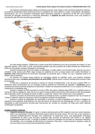 Arlindo Ugulino Netto; Raquel Torres Bezerra Dantas ● MEDRESUMOS 2016 ● CEF
38
www.medresumos.com.br
As proteínas sintetizadas pelas células eucariontes possuem duas origens e dois caminhos respectivos distintos:
as proteínas sintetizadas pelos ribossomos livres no citoplasma tem como destino o núcleo, mitocôndrias, cloroplastos,
peroxissomos, etc.; já as proteínas sintetizadas pelos ribossomos aderidos à membrana do RE têm como destino
vesículas de secreção, lisossomos e membrana plasmática. A hipótese do sinal demonstra como uma proteína é
reconhecida pelo RE para que dele seja exportada.
Em toda síntese proteica, o RNAm traz o códon inicial AUG (metionina) e por fim do processo de síntese, um dos
seguintes códons: UGA, UAG ou UAA. Vale lembrar também que todo processo de síntese proteica por ribossomos é
divido em três etapas: iniciação, elongação e terminação.
Quando a proteína tem como seu destino à exportação, o núcleo realiza uma pré-informação, fazendo com que o
anticódon inicial, trazido pelo RNAt, traga consigo um peptídeo de curta ou longa cadeia com caráter hidrofóbico: o
peptídeo sinal (diferentemente do sinal para importação de proteínas para o núcleo, em que o peptídeo sinal é de
cadeia curta e hidrofílica).
Ao decorrer da síntese dessa proteína de exportação (ligada ao peptídeo sinal), uma proteína citosólica
reconhece esse sinal: a proteína reconhecedora de sinal (PRS), fazendo parar a síntese imediatamente durante a fase
de elongação.
A PRS traz o ribossomo de encontro à parede do retículo endoplasmático, a fim de que a própria PRS e o
ribossomo sejam reconhecidos por um complexo proteico presente na membrana da organela: o translocon, que é
composto por quatro proteínas receptoras fundamentais: receptor de ribossomos (riboforina I ou II), receptor de PRS, bip
(chaperona) e a peptidase sinal.
Quando o receptor de PRS reconhece e se liga a PRS, ela quebra a ligação dessa PRS com o peptídeo sinal e a
manda de volta ao citoplasma. Esse ato faz com que a síntese proteica previamente interrompida na fase de elongação
seja continuada, porém em direção ao lúmen do RER, e a partir daí, não ter mais contato com o meio citosólico.
Durante o processo de crescimento da proteína em direção ao lúmen, a proteína chaperona “bip” faz a função de
“catraca”, trazendo, cada vez mais para o lúmen da organela a proteína de exportação.
Quando a síntese do polipeptídio de exportação é concluída, a proteína peptidase sinal realiza a clivagem da
sequência sinal (peptídeo sinal) fazendo com que ela retorne ao citosol para ser desintegrada. Por fim, a proteína de
exportação já está previamente formada para futuramente ser enviada ao complexo de Golgi para sofrer algumas
modificações necessárias.
CORRELAÇÕES CLÍNICAS
1. Hiperbilirrubinemia neonatal. Em geral, o sistema desintoxicante do REL hepático é ativo em recém-nascidos,
porém sua capacidade completa é alcançada apenas depois de vários meses. Por isso não é raro observar a
chamada hiperbilirrubinemia neonatal, que, inicialmente, se desenvolve como uma pigmentação amarelada
característica da pele e das mucosas, produzida pelo acumulo de bilirrubina livre devido a um relativo
subdesenvolvimento do REL. A solução é simples e mostra as vantagens de converter os compostos hidrófobos
em hidrófilos, com o propósito de eliminá-los do organismo. Para isso, o recém-nascido é exposto a ação de
uma luz intensa como a dos tubos fluorescentes comuns.
 