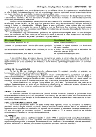 Arlindo Ugulino Netto; Raquel Torres Bezerra Dantas ● MEDRESUMOS 2016 ● CEF
43
www.medresumos.com.br
Há uma correlação entre a posição de uma enzima na cadeia de eventos de processamento e a sua localização
na pilha de Golgi. Enzimas que atuam no início são encontradas em cisternas proximais á face cis, enquanto as enzimas
que atuam mais tarde são encontradas nas cisternas próximas á face trans.
O processamento dos oligossacarídeos N-ligados de proteínas lisossomais difere dos das proteínas secretadas
e da membrana plasmática. Ao invés de ocorrer a remoção de três resíduos monoses, as proteínas são inicialmente,
modificados pela fosforilação da manose.
Fosfatos de N-acetilglicosamina são adicionados a resíduos específicos de manose. Provavelmente enquanto a
proteína está na rede de Golgi cis. Esta é seguida pela remoção do grupo N-acetilglicosamina, deixando resíduos de
manose 6 fosfato no oligossacarídeo N-ligado. Devido a essa modificação, esses resíduos são reconhecidos
especificamente por um receptor de manose 6 fosfato na rede de Golgi trans. Que direciona o transporte dessas
proteínas para o lisossomo. Os oligossacarídeos N-ligados formados nesse processo de glicosilação são chamados de
oligossacarídeos ricos em manose.
No complexo de Golgi também ocorre a glicosilação dos oligossacarídeos O-ligados. Estes são produzidos pela
adição de carboidratos na cadeia lateral de um aminoácido serina ou treonina. A tabela abaixo mostra as principais
diferenças entre a glicosilaçao N-ligada e a glicosilaçao O-ligada (Tabela 1).
Glicosilacao N-ligada Glicosilaçao O-ligada
Inicia-se no RE e continua no CG Ocorre exclusivamente no CG
Açúcares são ligados ao radical –NH2 de resíduos de Asparagina Açúcares são ligados ao radical –OH de resíduos
de Serina e Treonina
Adição de oligossacarídeos em bloco no RE e modificações no CG A adição de monossacarídeos é sequencial nas
diferentes cisternas do CG
Oligossacarídeos grandes, com mais de 4 resíduos Os oligossacarídeos são pequenos
A especificidade desse processo é baseada na enzima que catalisa a primeira etapa de uma sequência de
reações, essa enzima reconhece o determinante estrutural (presente nas proteínas lisossomais). Esse determinante do
reconhecimento que leva a fosforização das monoses, e assim direciona a proteínas para os lisossomos são chamadas
regiões sinal.
SINTESE DE POLISSACARÍDEOS
Na luz do CG, são sintetizados diferentes polissacarídeos. Os principais exemplos em vegetais, são
hemicelulose e pectina e, em animais, glicosaminoglicanos.
Hemicelulose e pectina são componentes da parede celular, e sintetizados no CG, e pertencem a um grupo de
polissacarídeos ramificados. A cadeia principal dos polissacarídeos é longa, linear e é composta por apenas um tipo de
açúcar, e é responsável pela ligação da hemicelulose à celulose na parede celular, enquanto nas cadeias laterais são
compostas de outros açucares, e estabelecem ligações entre moléculas de hemicelulose com moléculas de pectinas.
Os glicosaminoglicanos são cadeias polissacarídeos não ramificados. Caracterizam-se pela repetição de
unidades dissacarídecas de um acido urônico (idurônico ou glicurônico) e um carboidrato aminado (glicosamina ou
galactosamina), e são ricos em cargas negativas, por apresentarem sulfatação.
SÍNTESE DO ACROSSOMO
O acrossomo presente no espermatozoide, contem enzimas hidrolíticas, proteases e glicosidases. Estas
enzimas são sintetizadas na luz do CG e permanecem no acrossomo, até que haja o contato entre o espermatozoide e
óvulo, desencandeando sua liberação. A função dessas enzimas é facilitar a penetração do espermatozoide no óvulo,
por digestão da zona pelúcida.
FORMAÇÃO DE MEMBRANA CELULARES
As vesículas provenientes do CG, tem como destino outras organelas, como o RE, lisossomos e a membrana
plasmática. Quando atingem o destino, acontece a liberação do conteúdo destas vesículas e fusão das membranas. Os
conteúdos lipídico e proteico das membranas das vesículas são incorporadas às membranas de destino. Dessa forma, o
CG atua na formação de membranas celulares. O transporte através do CG é bastante dinâmico e as vesículas
provenientes do RE auxiliam na manutenção de sua estrutura.
SULFATAÇÃO
Esta reação é realizada a partir de um doador de sulfato –PAPS (3-fosfoadenosina-5-fosfosulfato). Este doador é
transportado para a luz do CG na rede Golgi trans, onde ocorre esse processo de sulfatação. O sulfato confere carga
negativa aos proteoglicanos, que compõe a matriz extracelulular. Entretanto, o sulfato também pode ser adicionado a
proteínas secretadas ou a domínios extracelulares de proteínas e lipídios da membrana plasmática.
 