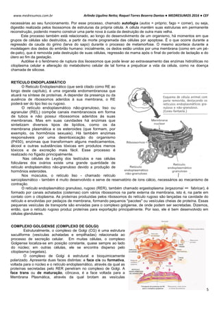 Arlindo Ugulino Netto; Raquel Torres Bezerra Dantas ● MEDRESUMOS 2016 ● CEF
5
www.medresumos.com.br
necessárias ao seu funcionamento. Por esse processo, chamado autofagia (autos = próprio; fago = comer), ou seja,
digestão realizada pelos lisossomos de estruturas da própria célula. A célula mantém suas estruturas em permanente
reconstrução, podendo mesmo construir uma parte nova à custa da destruição de outra mais velha.
Este processo também está relacionado, ao longo do desenvolvimento de um organismo, há momentos em que
grupos de células são destruídos, a partir da morte programada das células por apoptose. É o que ocorre durante a
regressão da cauda do girino (larva do sapo) durante o processo de metamorfose. O mesmo acontece durante a
modelagem dos dedos do embrião humano: inicialmente, os dedos estão unidos por uma membrana (como em um pé-
de-pato), que é removida pela destruição de suas células, regressão da mama após o final do período de lactação e do
útero ao fim da gestação.
Autólise é o fenômeno de ruptura dos lisossomos que pode levar ao extravasamento das enzimas hidrolíticas no
citoplasma celular e alteração do metabolismo celular de tal forma a prejudicar a vida da célula, como na doença
chamada de silicose.
RETÍCULO ENDOPLASMÁTICO
O Reticulo Endoplasmático (que será citado como RE ao
longo deste capítulo), é uma organela endomembranosa que
atuará na síntese de proteínas. A depender da presença ou da
ausência de ribossomos aderidos à sua membrana, o RE
poderá ser do tipo liso ou rugoso.
O retículo endoplasmático não-granuloso, liso ou
agranular (REL) compõe canais membranosos em forma
de tubos e não possui ribossomos aderidos às suas
membranas. Mas em suas cavidades há enzimas que
sintetizam diversos tipos de lipídios, como os da
membrana plasmática e os esteroides (que formam, por
exemplo, os hormônios sexuais). Há também enzimas
responsáveis por uma desintoxicação do organismo
(P450), enzimas que transformam alguns medicamentos,
álcool e outras substâncias tóxicas em produtos menos
tóxicos e de excreção mais fácil. Esse processo é
realizado no fígado principalmente.
Nas células de Leydig dos testículos e nas células
foliculares dos ovários existe uma grande quantidade de
retículo endoplasmático não-granuloso devido a produção de
hormônios esteroides.
Nos músculos, o retículo liso - chamado retículo
sarcoplasmático - também é muito desenvolvido e serve de reservatório de íons cálcio, necessários ao mecanismo de
contração.
O retículo endoplasmático granuloso, rugoso (RER), também chamado ergastoplasma (ergazomai = fabricar), é
formado por canais achatados (cisternas) com vários ribossomos na parte externa da membrana, isto é, na parte em
contato com o citoplasma. As proteínas produzidas pelos ribossomos do retículo rugoso são lançadas na cavidade do
retículo e envolvidas por pedaços de membrana, formando pequenos "pacotes" ou vesículas cheias de proteína. Essas
pequenas vesículas de transporte são enviadas para o complexo golgiense, de onde podem ser secretadas. Dizemos,
então, que o retículo rugoso produz proteínas para exportação principalmente. Por isso, ele é bem desenvolvido em
células glandulares.
COMPLEXO GOLGIENSE (COMPLEXO DE GOLGI)
Estruturalmente, o complexo de Golgi (CG) é uma estrutura
saculiforme (vesículas achatadas e empilhadas) relacionada ao
processo de secreção celular. Em muitas células, o complexo
Golgiense localiza-se em posição constante, quase sempre ao lado
do núcleo; em outras células, ele se encontra disperso pelo
citoplasma (vegetais).
O complexo de Golgi é estrutural e bioquimicamente
polarizado. Apresenta duas faces distintas: a face cis ou formativa,
voltada para o núcleo e o retículo endoplasmático, através da qual as
proteínas secretadas pelo RER penetram no complexo de Golgi. A
face trans ou de maturação, côncava, é a face voltada para a
Membrana Plasmática, através da qual brotam as vesículas
 