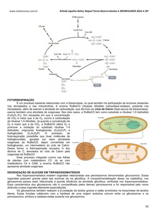 Arlindo Ugulino Netto; Raquel Torres Bezerra Dantas ● MEDRESUMOS 2016 ● CEF
62
www.medresumos.com.br
FOTORRESPIRAÇÃO
É um processo bastante relacionado com a fotossíntese, no qual também há participação de enzimas presentes
nos cloroplastos e nas mitocôndrias. A enzima RuBisCO (ribulose difosfato carboxilase-oxidase), presente nos
cloroplastos, além de exercer a atividade de carboxilação, que dá inicio ao ciclo de Calvin (fase escura da fotossíntese),
exerce também uma atividade de oxigenase. Nos dois casos, a RuBisCO tem como substrato a ribulose 1-5 bisfosfato
(C5H8O11P2). Em situações em que a concentração
de CO2 é maior que a de O2, ocorre a carboxilação
da ribulose 1-5 difosfato. Já quando a concetração de
O2 é maior que a de CO2, a RuBisCO utiliza O2 e
promove a oxidação do substrato ribulose 1-5
disfosfato, originando fosfoglicerato (C8H4O7P) e
fosfoglicolato (C2H2O6P). O processo de
fotorrespiração possibilita que duas moléculas de
fosfogliconalato, geradas por essa ativiadade
oxigenase da RuBisCO, sejam convertidas em
fosfoglicerato, um intermediário do ciclo de Calvin.
Dessa forma, a fotorrespiração recupera ¾ dos
átomos de C, desviados do ciclo de Calvin pela
oxigenase da RuBisCO.
Esse processo integrado ocorre nas folhas
de plantas com metabolismo C3. Já as com
metabolismo C4 e CAM, a enzima RuBisCO não
apresenta atividade oxigenase.
DEGRADAÇÃO DE GLICOSE EM TRIPANOSSOMATÍDEOS
Nos tripanossomatídeos existem organelas relacionadas aos peroxissomos denominadas glicossomos. Essas
organelas possuem grande parte das enzimas da via glicolítica. A compartimentalização dessa via catabólica, nos
glicossomos parece estar relacionada à grande eficiência da atividade glicolítica, verificada nos tripanossomatídeos.
Essa característica dos glicossomos não é compartilhada pelos demais peroxissomos e foi responsável pelo nome
atribuído a essa organela altamente especializada.
Os glicossomos também realizam a β-oxidação de ácidos graxos e estão envolvidos na biossíntese de lipídios
éteres. Essas funções colaboram com a hipótese de uma origem evolutiva comum entre os glicossomos e os
peroxissomos, embora a catalase esteja ausente nos glicossomos.
 