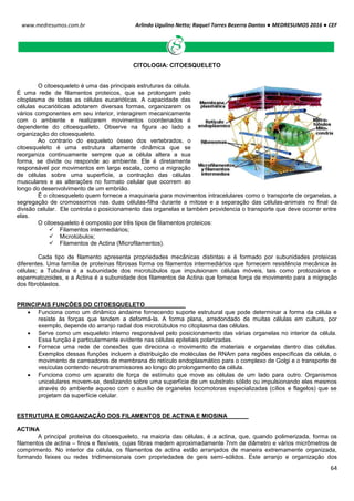 Arlindo Ugulino Netto; Raquel Torres Bezerra Dantas ● MEDRESUMOS 2016 ● CEF
64
www.medresumos.com.br
CITOLOGIA: CITOESQUELETO
O citoesqueleto é uma das principais estruturas da célula.
É uma rede de filamentos proteicos, que se prolongam pelo
citoplasma de todas as células eucarióticas. A capacidade das
células eucarióticas adotarem diversas formas, organizarem os
vários componentes em seu interior, interagirem mecanicamente
com o ambiente e realizarem movimentos coordenados é
dependente do citoesqueleto. Observe na figura ao lado a
organização do citoesqueleto.
Ao contrario do esqueleto ósseo dos vertebrados, o
citoesqueleto é uma estrutura altamente dinâmica que se
reorganiza continuamente sempre que a célula altera a sua
forma, se divide ou responde ao ambiente. Ele é diretamente
responsável por movimentos em larga escala, como a migração
de células sobre uma superfície, a contração das células
musculares e as alterações no formato celular que ocorrem ao
longo do desenvolvimento de um embrião.
É o citoesqueleto quem fornece a maquinaria para movimentos intracelulares como o transporte de organelas, a
segregação de cromossomos nas duas células-filha durante a mitose e a separação das células-animais no final da
divisão celular. Ele controla o posicionamento das organelas e também providencia o transporte que deve ocorrer entre
elas.
O citoesqueleto é composto por três tipos de filamentos proteicos:
 Filamentos intermediários;
 Microtúbulos;
 Filamentos de Actina (Microfilamentos).
Cada tipo de filamento apresenta propriedades mecânicas distintas e é formado por subunidades proteicas
diferentes. Uma família de proteínas fibrosas forma os filamentos intermediários que fornecem resistência mecânica às
células; a Tubulina é a subunidade dos microtúbulos que impulsionam células móveis, tais como protozoários e
espermatozoides, e a Actina é a subunidade dos filamentos de Actina que fornece força de movimento para a migração
dos fibroblastos.
PRINCIPAIS FUNÇÕES DO CITOESQUELETO
 Funciona como um dinâmico andaime fornecendo suporte estrutural que pode determinar a forma da célula e
resiste às forças que tendem a deformá-la. A forma plana, arredondado de muitas células em cultura, por
exemplo, depende do arranjo radial dos microtúbulos no citoplasma das células.
 Serve como um esqueleto interno responsável pelo posicionamento das várias organelas no interior da célula.
Essa função é particularmente evidente nas células epiteliais polarizadas.
 Fornece uma rede de conexões que direciona o movimento de materiais e organelas dentro das células.
Exemplos dessas funções incluem a distribuição de moléculas de RNAm para regiões específicas da célula, o
movimento de carreadores de membrana do retículo endoplasmático para o complexo de Golgi e o transporte de
vesículas contendo neurotransmissores ao longo do prolongamento da célula.
 Funciona como um aparato de força de estímulo que move as células de um lado para outro. Organismos
unicelulares movem-se, deslizando sobre uma superfície de um substrato sólido ou impulsionando eles mesmos
através do ambiente aquoso com o auxílio de organelas locomotoras especializadas (cílios e flagelos) que se
projetam da superfície celular.
ESTRUTURA E ORGANIZAÇÃO DOS FILAMENTOS DE ACTINA E MIOSINA
ACTINA
A principal proteína do citoesqueleto, na maioria das células, é a actina, que, quando polimerizada, forma os
filamentos de actina – finos e flexíveis, cujas fibras medem aproximadamente 7nm de diâmetro e vários micrômetros de
comprimento. No interior da célula, os filamentos de actina estão arranjados de maneira extremamente organizada,
formando feixes ou redes tridimensionais com propriedades de geis semi-sólidos. Este arranjo e organização dos
 