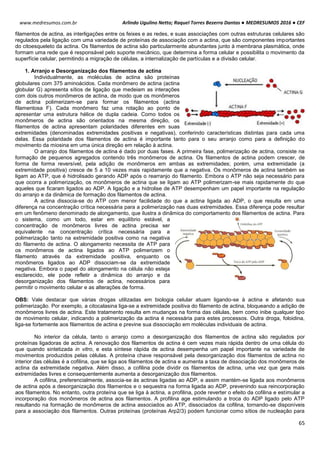 Arlindo Ugulino Netto; Raquel Torres Bezerra Dantas ● MEDRESUMOS 2016 ● CEF
65
www.medresumos.com.br
filamentos de actina, as interligações entre os feixes e as redes, e suas associações com outras estruturas celulares são
regulados pela ligação com uma variedade de proteínas de associação com a actina, que são componentes importantes
do citoesqueleto da actina. Os filamentos de actina são particularmente abundantes junto à membrana plasmática, onde
formam uma rede que é responsável pelo suporte mecânico, que determina a forma celular e possibilita o movimento da
superfície celular, permitindo a migração de células, a internalização de partículas e a divisão celular.
1. Arranjo e Desorganização dos filamentos de actina
Individualmente, as moléculas de actina são proteínas
globulares com 375 aminoácidos. Cada monômero de actina (actina
globular G) apresenta sítios de ligação que medeiam as interações
com dois outros monômeros de actina, de modo que os monômeros
de actina polimerizam-se para formar os filamentos (actina
filamentosa F). Cada monômero faz uma rotação ao ponto de
apresentar uma estrutura hélice de dupla cadeia. Como todos os
monômeros de actina são orientados na mesma direção, os
filamentos de actina apresentam polaridades diferentes em suas
extremidades (denominadas extremidades positivas e negativas), conferindo características distintas para cada uma
delas. Essa polaridade dos filamentos de actina é importante tanto para o seu arranjo como para a definição do
movimento da miosina em uma única direção em relação à actina.
O arranjo dos filamentos de actina é dado por duas fases. A primeira fase, polimerização de actina, consiste na
formação de pequenos agregados contendo três monômeros de actina. Os filamentos de actina podem crescer, de
forma de forma reversível, pela adição de monômeros em ambas as extremidades; porém, uma extremidade (a
extremidade positiva) cresce de 5 a 10 vezes mais rapidamente que a negativa. Os monômeros de actina também se
ligam ao ATP, que é hidrolisado gerando ADP após o rearranjo do filamento. Embora o ATP não seja necessário para
que ocorra a polimerização, os monômeros de actina que se ligam ao ATP polimerizam-se mais rapidamente do que
aqueles que ficaram ligados ao ADP. A ligação e a hidrolise de ATP desempenham um papel importante na regulação
do arranjo e da dinâmica de formação dos filamentos de actina.
A actina dissocia-se do ATP com menor facilidade do que a actina ligada ao ADP, o que resulta em uma
diferença na concentração crítica necessária para a polimerização nas duas extremidades. Essa diferença pode resultar
em um fenômeno denominado de alongamento, que ilustra a dinâmica do comportamento dos filamentos de actina. Para
o sistema, como um todo, estar em equilíbrio estável, a
concentração de monômeros livres de actina precisa ser
equivalente na concentração crítica necessária para a
polimerização tanto na extremidade positiva como na negativa
do filamento de actina. O alongamento necessita de ATP para
os monômeros de actina ligados ao ATP polimerizem o
filamento através da extremidade positiva, enquanto os
monômeros ligados ao ADP dissociam-se da extremidade
negativa. Embora o papel do alongamento na célula não esteja
esclarecido, ele pode refletir a dinâmica do arranjo e da
desorganização dos filamentos de actina, necessários para
permitir o movimento celular e as alterações de forma.
OBS: Vale destacar que várias drogas utilizadas em biologia celular atuam ligando-se à actina e afetando sua
polimerização. Por exemplo, a citocalasina liga-se a extremidade positiva do filamento de actina, bloqueando a adição de
monômeros livres de actina. Este tratamento resulta em mudanças na forma das células, bem como inibe qualquer tipo
de movimento celular, indicando a polimerização da actina é necessária para estes processos. Outra droga, foloidina,
liga-se fortemente aos filamentos de actina e previne sua dissociação em moléculas individuais de actina.
No interior da célula, tanto o arranjo como a desorganização dos filamentos de actina são regulados por
proteínas ligadoras de actina. A renovação dos filamentos de actina é cem vezes mais rápida dentro de uma célula do
que quando sintetizada in vitro, e esta síntese rápida de actina desempenha um papel importante na variedade de
movimentos produzidos pelas células. A proteína chave responsável pela desorganização dos filamentos de actina no
interior das células é a cofilina, que se liga aos filamentos de actina e aumenta a taxa de dissociação dos monômeros de
actina da extremidade negativa. Além disso, a cofilina pode dividir os filamentos de actina, uma vez que gera mais
extremidades livres e consequentemente aumenta a desorganização dos filamentos.
A cofilina, preferencialmente, associa-se às actinas ligadas ao ADP, e assim mantém-se ligada aos monômeros
de actina após a desorganização dos filamentos e o sequestra na forma ligada ao ADP, prevenindo sua reincorporação
aos filamentos. No entanto, outra proteína que se liga à actina, a profilina, pode reverter o efeito da cofilina e estimular a
incorporação dos monômeros de actina aos filamentos. A profilina age estimulando a troca do ADP ligado pelo ATP
resultando na formação de monômeros de actina associados ao ATP, dissociados da cofilina, tornando-se disponíveis
para a associação dos filamentos. Outras proteínas (proteínas Arp2/3) podem funcionar como sítios de nucleação para
 