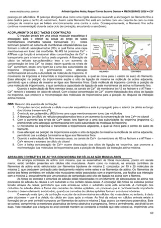 Arlindo Ugulino Netto; Raquel Torres Bezerra Dantas ● MEDRESUMOS 2016 ● CEF
69
www.medresumos.com.br
pescoço em alfa hélice. O pescoço alongado atua como uma rígida alavanca causando a ancoragem do filamento fino e
este desliza para o centro do sarcômero. Assim cada filamento fino está em contato com um conjunto de cem ou mais
cabeças de miosina que se batem sincronicamente uma contra a outra. Consequentemente, o filamento fino sofre
contínua movimentação durante cada ciclo de contração, encurtando o sarcômero.
ACOPLAMENTO DE EXCITAÇÃO E CONTRAÇÃO
O impulso gerado em uma célula muscular esquelética é
propagado para o interior da célula ao longo de tubos
membranosos chamados túbulos transversais (T). Estes
terminam próximo ao sistema de membranas citoplasmáticas que
formam o retículo sarcoplasmático (RS), o qual forma uma capa
membranosa em torno das miofibrilas. No RS há proteínas Ca²
+
-
ATPase cuja função é armazenar altas concentrações de Ca²
+
e
transporta-lo para o interior da luz desta organela. A liberação de
cálcio do retículo sarcoplasmático leva a um aumento da
concentração de íons Ca²
+
no citosol. Assim quando os níveis de
Ca²
+
aumentam, esses íons ligam-se a uma das subunidades da
troponina (troponina C) promovendo uma alteração
conformacional em outra subunidade da molécula de troponina. O
movimento da troponina é transmitido à tropomiosina adjacente, a qual se move para o centro do sulco do filamento.
Essa alteração na posição da tropomiosina expõe o sítio de ligação da miosina na molécula de actina adjacente,
permitindo que a cabeça da miosina se ligue aos filamentos finos. Cada molécula de troponina controla a posição de
uma molécula de tropomiosina, a qual controla a capacidade de ligação de sete monômeros de actina no filamento fino.
Quando a estimulação da fibra nervosa cessa, os canais de Ca²
+
da membrana do RS se fecham e o ATPase –
Ca²
+
remove o excesso de cálcio do citosol. Com a baixa concentração de Ca²
+
ocorre dissociação dos sítios de ligação
na troponina, que promove a movimentação das moléculas de tropomiosina para a posição de bloqueio da interação
actina-miosina.
OBS: Resumo dos eventos da contração:
1. O impulso nervoso estimula a célula muscular esquelética e este é propagado para o interior da célula ao longo
dos túbulos transversais (T).
2. O retículo sarcoplasmático (RS) forma uma capa membranosa em torno das miofibrilas
3. A liberação de cálcio do retículo sarcoplasmático leva a um aumento da concentração de íons Ca²+ no citosol
4. Com o aumento dos níveis de Ca²+ esses íons ligam-se a uma das subunidades da troponina (troponina C)
promovendo uma alteração conformacional em outra subunidade da molécula de troponina
5. O movimento da troponina é transmitido à tropomiosina adjacente, a qual se move para o centro do sulco do
filamento
6. Essa alteração na posição da tropomiosina expõe o sítio de ligação da miosina na molécula de actina adjacente,
permitindo que a cabeça da miosina se ligue aos filamentos finos
7. Quando a estimulação da fibra nervosa cessa, os canais de Ca²+ da membrana do RS se fecham e a ATPase –
Ca²+ remove o excesso de cálcio do citosol
8. Com a baixa concentração de Ca²+ ocorre dissociação dos sítios de ligação na troponina, que promove a
movimentação das moléculas de tropomiosina para a posição de bloqueio da interação actina-miosina.
ARRANJOS CONTRÁTEIS DE ACTINA COM MIOSINA EM CÉLULAS NÃO MUSCULARES
Os arranjos contráteis de actina com miosina, que se assemelham às fibras musculares, porém em escala
menor, estão também presentes em células não musculares. Assim como no músculo, os arranjos contráteis de
filamentos de actina estão estruturados por filamentos bipolares de miosina 2, compostos por 15 a 20 moléculas de
miosina 2, que produzem contração pelo deslizamento relativo entre estes e os filamentos de actina. Os filamentos de
actina dos feixes contráteis em células não musculares estão associados com a tropomiosina, que facilita sua interação
com a miosina 2, provavelmente por um processo de competição pelo sítio de ligação na actina com a filamina.
As fibras de estresse e cinturões de adesão estão relacionadas no envolvimento do citoesqueleto de actina nos
processos de adesão de células a um substrato e nos contato célula-célula. A contração das fibras de estresse produz
tensão através da célula, permitindo que esta arraste-se sobre o substrato onde está ancorada. A contração dos
cinturões de adesão altera a forma das camadas de células epiteliais, um processo que é particularmente importante
durante o desenvolvimento embrionário, quando as camadas de células epiteliais formam estruturas tubulares.
O exemplo mais típico de contração muscular de actina-miosina em células não musculares, no entanto, é dado
pela citocinese – que é a divisão da célula em duas após a mitose. Ao final da mitose em células animais existe a
formação de um anel contrátil composto por filamentos de actina e miosina 2 logo abaixo da membrana plasmática. Este
se contrai, comprimindo a membrana plasmática de forma obstrutiva e progressiva, firme e centralmente, até dividi-la em
duas. Vale ressaltar que a largura do anel contrátil mantém-se constante a medida que este contrai-se, imprimindo uma
 