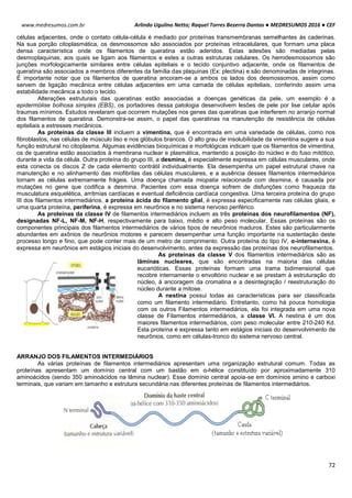 Arlindo Ugulino Netto; Raquel Torres Bezerra Dantas ● MEDRESUMOS 2016 ● CEF
72
www.medresumos.com.br
células adjacentes, onde o contato célula-célula é mediado por proteínas transmembranas semelhantes às caderinas.
Na sua porção citoplasmática, os desmossomos são associados por proteínas intracelulares, que formam uma placa
densa característica onde os filamentos de queratina estão aderidos. Estas adesões são mediadas pelas
desmoplaquinas, aos quais se ligam aos filamentos e estes a outras estruturas celulares. Os hemidesmossomos são
junções morfologicamente similares entre células epiteliais e o tecido conjuntivo adjacente, onde os filamentos de
queratina são associados a membros diferentes da família das plaquinas (Ex: plectina) e são denominadas de integrinas.
É importante notar que os filamentos de queratina ancoram-se a ambos os lados dos desmossomos, assim como
servem de ligação mecânica entre células adjacentes em uma camada de células epiteliais, conferindo assim uma
estabilidade mecânica a todo o tecido.
Alterações estruturais das queratinas estão associadas a doenças genéticas da pele, um exemplo é a
epidermólise bolhosa simples (EBS), os portadores dessa patologia desenvolvem lesões de pele por lise celular após
traumas mínimos. Estudos revelaram que ocorrem mutações nos genes das queratinas que interferem no arranjo normal
dos filamentos de queratina. Demonstra-se assim, o papel das queratinas na manutenção de resistência de células
epiteliais a estresses mecânicos.
As proteínas da classe III incluem a vimentina, que é encontrada em uma variedade de células, como nos
fibroblastos, nas células de músculo liso e nos glóbulos brancos. O alto grau de insolubilidade da vimentina sugere a sua
função estrutural no citoplasma. Algumas evidências bioquímicas e morfológicas indicam que os filamentos de vimentina,
os de queratina estão associados à membrana nuclear e plasmática, mantendo a posição do núcleo e do fuso mitótico,
durante a vida da célula. Outra proteína do grupo III, a desmina, é especialmente expressa em células musculares, onde
esta conecta os discos Z de cada elemento contrátil individualmente. Ela desempenha um papel estrutural chave na
manutenção e no alinhamento das miofibrilas das células musculares, e a ausência desses filamentos intermediários
tornam as células extremamente frágeis. Uma doença chamada miopatia relacionada com desmina, é causada por
mutações no gene que codifica a desmina. Pacientes com essa doença sofrem de disfunções como fraqueza da
musculatura esquelética, arritmias cardíacas e eventual deficiência cardíaca congestiva. Uma terceira proteína do grupo
III dos filamentos intermediários, a proteína ácida do filamento glial, é expressa especificamente nas células gliais, e
uma quarta proteína, periferina, é expressa em neurônios e no sistema nervoso periférico.
As proteínas da classe IV de filamentos intermediários incluem as três proteínas dos neurofilamentos (NF),
designadas NF-L, NF-M, NF-H, respectivamente para baixo, médio e alto peso molecular. Essas proteínas são os
componentes principais dos filamentos intermediários de vários tipos de neurônios maduros. Estes são particularmente
abundantes em axônios de neurônios motores e parecem desempenhar uma função importante na sustentação deste
processo longo e fino, que pode conter mais de um metro de comprimento. Outra proteína do tipo IV, α-internexina, é
expressa em neurônios em estágios iniciais do desenvolvimento, antes da expressão das proteínas dos neurofilamentos.
As proteínas da classe V dos filamentos intermediários são as
lâminas nucleares, que são encontradas na maioria das células
eucarióticas. Essas proteínas formam uma trama bidimensional que
recobre internamente o envoltório nuclear e se prestam à estruturação do
núcleo, à ancoragem da cromatina e a desintegração / reestruturação do
núcleo durante a mitose.
A nestina possui todas as características para ser classificada
como um filamento intermediário. Entretanto, como há pouca homologia
com os outros Filamentos intermediários, ela foi integrada em uma nova
classe de Filamentos intermediários, a classe VI. A nestina é um dos
maiores filamentos intermediários, com peso molecular entre 210-240 Kd.
Esta proteína é expressa tanto em estágios iniciais do desenvolvimento de
neurônios, como em células-tronco do sistema nervoso central.
ARRANJO DOS FILAMENTOS INTERMEDIÁRIOS
As várias proteínas de filamentos intermediários apresentam uma organização estrutural comum. Todas as
proteínas apresentam um domínio central com um bastão em α-hélice constituído por aproximadamente 310
aminoácidos (sendo 350 aminoácidos na lâmina nuclear). Esse domínio central apoia-se em domínios amino e carboxi
terminais, que variam em tamanho e estrutura secundária nas diferentes proteínas de filamentos intermediários.
 