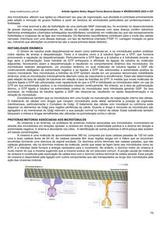 Arlindo Ugulino Netto; Raquel Torres Bezerra Dantas ● MEDRESUMOS 2016 ● CEF
74
www.medresumos.com.br
dos microtúbulos, alteram sua rigidez ou influenciam seu grau de organização, sua atividade é controlada primariamente
pela adição e remoção de grupos fosfatos a partir de resíduos de aminoácidos particulares por proteinoquinases e
fosfatases.
Um nível anormal e alto de fosforilação de uma particular MAP chamada tau, foi envolvido no desenvolvimento
de graves doenças neurodegenerativas. As células do encéfalo de pessoas com essa doença contêm estranhos
filamentos entrelaçados (chamados entrelaçados neurofibrilares) consistindo em moléculas tau que são excessivamente
fosforiladas e incapazes de se ligar aos microtúbulos. Os filamentos neurofibrilares contribuem para a morte das células
nervosas. Indivíduos com uma dessas doenças, um tipo de demência chamada FTDP 17, carregam mutação no gene
tau, indicando que alterações na proteína tau são a causa primaria desse distúrbio.
INSTABILIDADE DINÂMICA
O dímero de tubulina pode despolimerizar-se assim como polimerizar-se, e os microtúbulos podem sintetizar
ciclos rápidos de arranjo e despolarização. Tanto a α tubulina como a β tubulina ligam-se a GTP, que funciona
promovendo a regulação da despolimerização. Particularmente a GTP liga-se a β tubulina e é hidrolisada durante, ou
logo após a polimerização. Essa hidrolise da GTP enfraquece a afinidade da ligação da tubulina as moléculas
adjacentes, favorecendo assim a despolimerização e resultando no comportamento dinâmico dos microtúbulos. Os
microtúbulos realizam alongamento, um processo dinâmico no qual moléculas de tubulina ligadas a GDP são
continuamente desligadas da extremidade negativa e as ligadas a GTP são adicionadas a extremidade positiva do
mesmo microtúbulo. Nos microtúbulos a hidrolise da GTP também resulta em um processo denominado instabilidade
dinâmica, onde os microtúbulos individualmente alternam ciclos de crescimento e encolhimento. Estes são determinados
pela relação da taxa de adição de tubulinas em relação a taxa de hidrolise da GTP. A medida que novas moléculas de
tubulina ligada a GTP são adicionadas mais rapidamente do que a GTP é hidrolisada os microtúbulos retém um cap de
GTP em sua extremidade positiva, e os microtúbulos crescem continuamente. No entanto, se a taxa de polimerização
diminui, a GTP ligada a tubulina na extremidade positiva do microtúbulos será hidrolisada gerando GDP. Se isso
acontecer, as moléculas de tubulina ligadas a GDP vão dissociar-se, resultando na rápida despolimerização e na
retração do microtúbulo.
Considera-se também que os microtúbulos tem uma função na manutenção da organização interna das células.
O tratamento de células com drogas que rompem microtúbulos pode afetar seriamente a posição de organelas
membranosas, particularmente o Complexo de Golgi. O tratamento das células com nocodazol ou colchicina pode
dispersar os elementos de Golgi para regiões periféricas da célula. Quando a droga é removida os microtúbulos são
agregados e as membranas de Golgi retornam a sua posição normal no interior da célula. Estas substâncias também
bloqueiam a mitose e drogas semelhantes são utilizadas na quimioterapia contra o câncer.
PROTEÍNAS MOTORAS ASSOCIADAS AOS MICROTÚBULOS
As cinesinas e as dineínas, os protótipos de proteínas motoras associadas aos microtúbulos, movimentam-se
através dos microtúbulos em direções opostas: a cinesina em direção a extremidade positiva e a dineína em direção a
extremidade negativa. A dineína é abundante nos cílios. A identificação de outras proteínas é difícil porque elas existem
em baixas concentrações.
A cinesina é uma molécula de aproximadamente 380 kd, composta por duas cadeias pesadas de 120 kd cada
uma e duas cadeias leves de 64 kd. As cadeias pesadas têm duas regiões longas em α hélice que se encontram
envolvidas formando uma estrutura de espiral enrolada. Os domínios amino terminais das cadeias pesadas, que são
cabeças globulares, são os domínios motores da molécula, sendo que estas se ligam tanto aos microtúbulos como ao
ATP, e a hidrolise deste fornece a energia necessária para o movimento. No entanto, o domínio motor da cinesina é
muito menor do que a miosina sugerindo que a miosina evoluiu de um precursor comum. A porção caudal da molécula
da cinesina é constituída pela associação da cadeia leve com o domínio carboxi terminal da cadeia pesada. Essa porção
da cinesina é responsável pela ligação com outros componentes que são transportados ao longo dos microtúbulos pela
ação das cinesinas motoras.
 