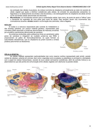 Arlindo Ugulino Netto; Raquel Torres Bezerra Dantas ● MEDRESUMOS 2016 ● CEF
8
www.medresumos.com.br
da contração das células musculares, da ciclose (corrente de citoplasma principalmente ao redor do vacúolo da
célula vegetal que ajuda a distribuir substâncias pela célula), da emissão de pseudópodes (presentes na
fagocitose e no deslocamento da ameba e dos leucócitos), e do estrangulamento do citoplasma da célula animal
no fim da divisão celular denominado de citocinese.
 Microtúbulos: os microtúbulos servem para a sustentação celular, bem como, de ponto de apoio e "trilhos" para
o transporte de organelas de uma parte para outra da célula. Eles também atuam nos movimentos dos
cromossomos durante a divisão celular e na formação dos centríolos, cílios e flagelos.
NÚCLEO
O núcleo é a estrutura responsável pelo controle do metabolismo e
das divisões celulares, por possuir material genético, representado pela
cromatina (DNA associado a proteínas denominadas de histonas) envolvido
por envoltório membranoso denominado de carioteca.
As proteínas produzidas pelos polissomos livres ao penetrarem pelos
poros da carioteca e chegarem ao nucléolo juntam-se aos RNAr e
proporcionam os grãos de ribonucleoproteínas, os quais formam as
subunidades ribossômicas, que no citoplasma se juntam durante a síntese
proteica para formar os ribossomos.
CÉLULA VEGETAL
As células vegetais apresentam particularidades tais como reserva nutritiva representado pelo amido, parede
celular de celulose, ausente em animais, bem como, organelas como os plastos ou plastídeos (o principal é o cloroplasto
com o papel de realizar fotossíntese), vacúolo de suco celular (armazenar substâncias, além de controle hídrico) e os
plasmodesmos que são pontos de comunicação entre células vegetais com aberturas na parede celular.
 