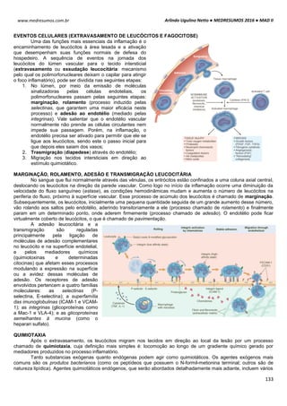 Arlindo Ugulino Netto ● MEDRESUMOS 2016 ● MAD II
133
www.medresumos.com.br
EVENTOS CELULARES (EXTRAVASAMENTO DE LEUCÓCITOS E FAGOCITOSE)
Uma das funções mais essenciais da inflamação é o
encaminhamento de leucócitos à área lesada e a ativação
que desempenham suas funções normais de defesa do
hospedeiro. A sequência de eventos na jornada dos
leucócitos do lúmen vascular para o tecido intersticial
(extravasamento ou exsudação leucocitária: mecanismo
pelo qual os polimorfonucleares deixam o capilar para atingir
o foco inflamatório), pode ser dividida nas seguintes etapas:
1. No lúmen, por meio da emissão de moléculas
sinalizadoras pelas células endoteliais, os
polimorfonucleares passam pelas seguintes etapas:
marginação, rolamento (processo induzido pelas
selectinas, que garantem uma maior eficácia neste
processo) e adesão ao endotélio (mediado pelas
integrinas). Vale salientar que o endotélio vascular
normalmente não prende as células circulantes nem
impede sua passagem. Porém, na inflamação, o
endotélio precisa ser ativado para permitir que ele se
ligue aos leucócitos, sendo este o passo inicial para
que depois eles saiam dos vasos;
2. Trasmigração (diapedese) através do endotélio;
3. Migração nos tecidos intersticiais em direção ao
estímulo quimiotático.
MARGINAÇÃO, ROLAMENTO, ADESÃO E TRANSMIGRAÇÃO LEUCOCITÁRIA
No sangue que flui normalmente através das vênulas, os eritrócitos estão confinados a uma coluna axial central,
deslocando os leucócitos na direção da parede vascular. Como logo no início da inflamação ocorre uma diminuição da
velocidade do fluxo sanguíneo (estase), as condições hemodinâmicas mudam e aumenta o número de leucócitos na
periferia do fluxo, próximo à superfície vascular. Esse processo de acúmulo dos leucócitos é chamado de marginação.
Subsequentemente, os leucócitos, inicialmente uma pequena quantidade seguida de um grande aumento desse número,
vão rolando aos saltos pelo endotélio, aderindo transitoriamente a ele (processo chamado de rolamento) e finalmente
param em um determinado ponto, onde aderem firmemente (processo chamado de adesão). O endotélio pode ficar
virtualmente coberto de leucócitos, o que é chamado de pavimentação.
A adesão leucocitária e a
transmigração são reguladas
principalmente pela ligação de
moléculas de adesão complementares
no leucócito e na superfície endotelial,
e pelos mediadores químicos
(quimiotoxinas e determinadas
citocinas) que afetam esses processos
modulando a expressão na superfície
ou a avidez dessas moléculas de
adesão. Os receptores de adesão
envolvidos pertencem a quatro famílias
moleculares: as selectinas (P-
selectina, E-selectina); a superfamília
das imunoglobulinas (ICAM-1 e VCAM-
1); as integrinas (glicoproteínas como
a Mac-1 e VLA-4); e as glicoproteínas
semelhantes à mucina (como o
heparan sulfato).
QUIMIOTAXIA
Após o extravasamento, os leucócitos migram nos tecidos em direção ao local da lesão por um processo
chamado de quimiotaxia, cuja definição mais simples é: locomoção ao longo de um gradiente químico gerado por
mediadores produzidos no processo inflamatório.
Tanto substancias exógenas quanto endógenas podem agir como quimiotáticos. Os agentes exógenos mais
comuns são os produtos bacterianos (como os peptídeos que possuem o N-formil-metionina terminal; outros são de
natureza lipídica). Agentes quimiotáticos endógenos, que serão abordados detalhadamente mais adiante, incluem vários
 