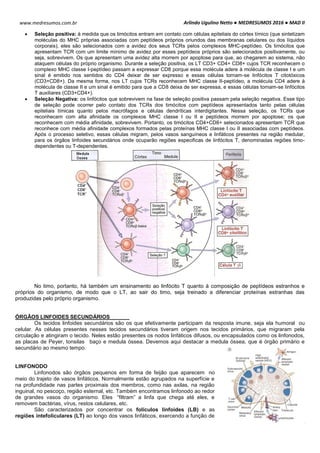Arlindo Ugulino Netto ● MEDRESUMOS 2016 ● MAD II
14
www.medresumos.com.br
 Seleção positiva: à medida que os timócitos entram em contato com células epiteliais do córtex tímico (que sintetizam
moléculas do MHC próprias associadas com peptídeos próprios oriundos das membranas celulares ou dos líquidos
corporais), eles são selecionados com a avidez dos seus TCRs pelos complexos MHC-peptídeo. Os timócitos que
apresentam TCR com um limite mínimo de avidez por esses peptídeos próprios são selecionados positivamente, ou
seja, sobrevivem. Os que apresentam uma avidez alta morrem por apoptose para que, ao chegarem ao sistema, não
ataquem células do próprio organismo. Durante a seleção positiva, os LT CD3+ CD4+ CD8+ cujos TCR reconhecem o
complexo MHC classe I-peptídeo passam a expressar CD8 porque essa molécula adere à molécula de classe I e um
sinal é emitido nos sentidos do CD4 deixar de ser expresso e essas células tornam-se linfócitos T citotóxicos
(CD3+CD8+). Da mesma forma, nos LT cujos TCRs reconhecem MHC classe II-peptídeo, a molécula CD4 adere à
molécula de classe II e um sinal é emitido para que a CD8 deixa de ser expressa, e essas células tornam-se linfócitos
T auxiliares (CD3+CD4+).
 Seleção Negativa: os linfócitos que sobrevivem na fase de seleção positiva passam pela seleção negativa. Esse tipo
de seleção pode ocorrer pelo contato dos TCRs dos timócitos com peptídeos apresentados tanto pelas células
epiteliais tímicas quanto pelos macrófagos e células dendríticas interdigitantes. Nessa seleção, os TCRs que
reconhecem com alta afinidade os complexos MHC classe I ou II e peptídeos morrem por apoptose; os que
reconhecem com média afinidade, sobrevivem. Portanto, os timócitos CD4+CD8+ selecionados apresentam TCR que
reconhece com média afinidade complexos formados pelas proteínas MHC classe I ou II associadas com peptídeos.
Após o processo seletivo, essas células migram, pelos vasos sanguíneos e linfáticos presentes na região medular,
para os órgãos linfoides secundários onde ocuparão regiões especificas de linfócitos T, denominadas regiões timo-
dependentes ou T-dependentes.
No timo, portanto, há também um ensinamento ao linfócito T quanto à composição de peptídeos estranhos e
próprios do organismo, de modo que o LT, ao sair do timo, seja treinado a diferenciar proteínas estranhas das
produzidas pelo próprio organismo.
ÓRGÃOS LINFOIDES SECUNDÁRIOS
Os tecidos linfoides secundários são os que efetivamente participam da resposta imune, seja ela humoral ou
celular. As células presentes nesses tecidos secundários tiveram origem nos tecidos primários, que migraram pela
circulação e atingiram o tecido. Neles estão presentes os nodos linfáticos difusos, ou encapsulados como os linfonodos,
as placas de Peyer, tonsilas baço e medula óssea. Devemos aqui destacar a medula óssea, que é órgão primário e
secundário ao mesmo tempo.
LINFONODO
Linfonodos são órgãos pequenos em forma de feijão que aparecem no
meio do trajeto de vasos linfáticos. Normalmente estão agrupados na superfície e
na profundidade nas partes proximais dos membros, como nas axilas, na região
inguinal, no pescoço, região esternal, etc. Também encontramos linfonodo ao redor
de grandes vasos do organismo. Eles “filtram” a linfa que chega até eles, e
removem bactérias, vírus, restos celulares, etc.
São caracterizados por concentrar os folículos linfoides (LB) e as
regiões intefoliculares (LT) ao longo dos vasos linfáticos, exercendo a função de
 