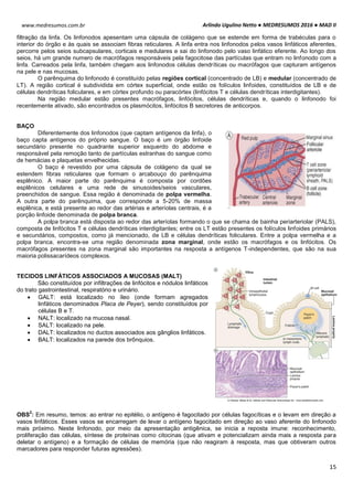Arlindo Ugulino Netto ● MEDRESUMOS 2016 ● MAD II
15
www.medresumos.com.br
filtração da linfa. Os linfonodos apesentam uma cápsula de colágeno que se estende em forma de trabéculas para o
interior do órgão e às quais se associam fibras reticulares. A linfa entra nos linfonodos pelos vasos linfáticos aferentes,
percorre pelos seios subcapsulares, corticais e medulares e sai do linfonodo pelo vaso linfático eferente. Ao longo dos
seios, há um grande numero de macrófagos responsáveis pela fagocitose das partículas que entram no linfonodo com a
linfa. Carreados pela linfa, também chegam aos linfonodos células dendríticas ou macrófagos que capturam antígenos
na pele e nas mucosas.
O parênquima do linfonodo é constituído pelas regiões cortical (concentrado de LB) e medular (concentrado de
LT). A região cortical é subdividida em córtex superficial, onde estão os folículos linfoides, constituídos de LB e de
células dendríticas foliculares, e em córtex profundo ou paracórtex (linfócitos T e células dendríticas interdigitantes).
Na região medular estão presentes macrófagos, linfócitos, células dendríticas e, quando o linfonodo foi
recentemente ativado, são encontrados os plasmócitos, linfócitos B secretores de anticorpos.
BAÇO
Diferentemente dos linfonodos (que captam antígenos da linfa), o
baço capta antígenos do próprio sangue. O baço é um órgão linfoide
secundário presente no quadrante superior esquerdo do abdome e
responsável pela remoção tanto de partículas estranhas do sangue como
de hemácias e plaquetas envelhecidas.
O baço é revestido por uma cápsula de colágeno da qual se
estendem fibras reticulares que formam o arcabouço do parênquima
esplênico. A maior parte do parênquima é composta por cordões
esplênicos celulares e uma rede de sinusoides/seios vasculares,
preenchidos de sangue. Essa região é denominada de polpa vermelha.
A outra parte do parênquima, que corresponde a 5-20% de massa
esplênica, e está presente ao redor das artérias e arteríolas centrais, é a
porção linfoide denominada de polpa branca.
A polpa branca está disposta ao redor das arteríolas formando o que se chama de bainha periarteriolar (PALS),
composta de linfócitos T e células dendríticas interdigitantes; entre os LT estão presentes os folículos linfoides primários
e secundários, compostos, como já mencionado, de LB e células dendríticas foliculares. Entre a polpa vermelha e a
polpa branca, encontra-se uma região denominada zona marginal, onde estão os macrófagos e os linfócitos. Os
macrófagos presentes na zona marginal são importantes na resposta a antígenos T-independentes, que são na sua
maioria polissacarídeos complexos.
TECIDOS LINFÁTICOS ASSOCIADOS A MUCOSAS (MALT)
São constituídos por infiltrações de linfócitos e nódulos linfáticos
do trato gastrointestinal, respiratório e urinário.
 GALT: está localizado no íleo (onde formam agregados
linfáticos denominados Placa de Peyer), sendo constituídos por
células B e T.
 NALT: localizado na mucosa nasal.
 SALT: localizado na pele.
 DALT: localizados no ductos associados aos gânglios linfáticos.
 BALT: localizados na parede dos brônquios.
OBS
2
: Em resumo, temos: ao entrar no epitélio, o antígeno é fagocitado por células fagocíticas e o levam em direção a
vasos linfáticos. Esses vasos se encarregam de levar o antígeno fagocitado em direção ao vaso aferente do linfonodo
mais próximo. Neste linfonodo, por meio da apresentação antigênica, se inicia a reposta imune: reconhecimento,
proliferação das células, síntese de proteínas como citocinas (que ativam e potencializam ainda mais a resposta para
deletar o antígeno) e a formação de células de memória (que não reagiram à resposta, mas que obtiveram outros
marcadores para responder futuras agressões).
 