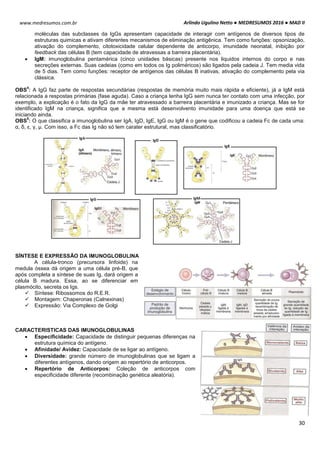 Arlindo Ugulino Netto ● MEDRESUMOS 2016 ● MAD II
30
www.medresumos.com.br
moléculas das subclasses da IgGs apresentam capacidade de interagir com antígenos de diversos tipos de
estruturas quimicas e ativam diferentes mecanismos de eliminação antigênica. Tem como funções: opsonização,
ativação do complemento, citotoxicidade celular dependente de anticorpo, imunidade neonatal, inibição por
feedback das células B (tem capacidade de atravessas a barreira placentária).
 IgM: imunoglobulina pentamérica (cinco unidades básicas) presente nos liquidos internos do corpo e nas
secreções externas. Suas cadeias (como em todos os Ig poliméricos) são ligados pela cadeia J. Tem media vida
de 5 dias. Tem como funções: receptor de antígenos das células B inativas, ativação do complemento pela via
clássica.
OBS
4
: A IgG faz parte de respostas secundárias (respostas de memória muito mais rápida e eficiente), já a IgM está
relacionada a respostas primárias (fase aguda). Caso a criança tenha IgG sem nunca ter contato com uma infecção, por
exemplo, a explicação é o fato da IgG da mãe ter atravessado a barreira placentária e imunizado a criança. Mas se for
identificado IgM na criança, significa que a mesma está desenvolvento imunidade para uma doença que está se
iniciando ainda.
OBS
5
: O que classifica a imunoglobulina ser IgA, IgD, IgE, IgG ou IgM é o gene que codificou a cadeia Fc de cada uma:
α, δ, ε, γ, μ. Com isso, a Fc das Ig não só tem carater estrutural, mas classificatório.
SÍNTESE E EXPRESSÃO DA IMUNOGLOBULINA
A célula-tronco (precursora linfoide) na
medula óssea dá origem a uma célula pré-B, que
após completa a síntese de suas Ig, dará origem a
célula B madura. Essa, ao se diferenciar em
plasmócito, secreta os Igs.
 Síntese: Ribossomos do R.E.R.
 Montagem: Chaperonas (Calnexinas)
 Expressão: Via Complexo de Golgi
CARACTERISTICAS DAS IMUNOGLOBULINAS
 Especificidade: Capacidade de distinguir pequenas diferenças na
estrutura química do antígeno.
 Afinidade/ Avidez: Capacidade de se ligar ao antígeno.
 Diversidade: grande número de imunoglobulinas que se ligam a
diferentes antígenos, dando origem ao repertório de anticorpos.
 Repertório de Anticorpos: Coleção de anticorpos com
especificidade diferente (recombinação genética aleatória).
 