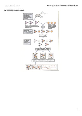 Arlindo Ugulino Netto ● MEDRESUMOS 2016 ● MAD II
31
www.medresumos.com.br
ANTICORPOS MONOCLONAIS
 