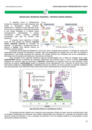 Arlindo Ugulino Netto ● MEDRESUMOS 2016 ● MAD II
32
www.medresumos.com.br
IMUNOLOGIA: IMUNIDADE ADQUIRIDA – RESPOSTA IMUNE HUMORAL
A resposta imune é didaticamente
dividida em resposta imune inata (resposta mais
ampla e abrangente, sendo, portanto,
inespecífica) e resposta imune adquirida. Esta,
por sua vez, é mediada por anticorpos secretados
e sua função fisiológica é a defesa contra
microrganismos extracelulares e toxinas
microbianas, sendo, portanto, solicitada
previamente para agir de maneira mais
específica.
A resposta imune adquirida é dividida
ainda em dois subtipos de resposta: resposta
imune adquirida humoral (o conteúdo da
resposta – os anticorpos – localizam-se livres no
plasma) e celular. Este capítulo trata-se de
enfatizar o primeiro subtipo.
A resposta imune adquirida (adaptativa), como já foi visto, é mediada pelos linfócitos T e linfócitos B, sendo este
responsável pela produção de anticorpos e aquele, após ser apresentado ao antígeno por uma APC, se prolifera e
desempenha a sua função (produção de citocinas). As funções efetoras dos anticorpos são as de neutralização e
eliminação dos microrganismos infecciosos e das toxinas microbianas.
Esta resposta imune adquirida apresenta algumas particularidades que a difere da resposta imune inata:
especificidade (devido à presença de receptores específicos dos linfócitos como o TCR e o BCR), diversidade
(presença de inúmeros tipos de anticorpos), tolerância (capacidade da resposta imune de não responder contra
proteínas do próprio), autolimitação (todas as respostas imunes desaparecem com o decorrer do tempo após cada
estimulação antigênica), especialização e memória (presença de células que foram expostas ao peptídeo antigênico,
mas não respondem a ele, deixando a fase madura para serem classificadas como células de memória).
É importante lembrar também que a resposta imune adquirida é divida em fases: fase de reconhecimento, fase
de ativação (proliferação dos linfócitos), fase efetora (diferenciação dos linfócitos B e produção de anticorpos pelos
mesmos; auxílio dos linfócitos T com a produção de citocinas) e o fim da resposta (declínio ou homeostase), na qual
resta apenas células de memória.
 