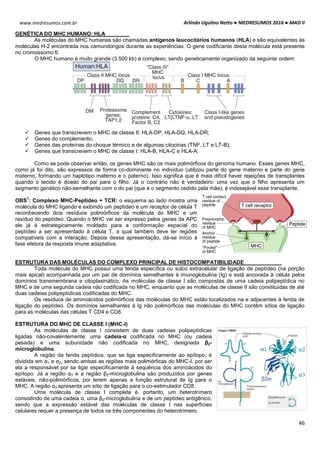 Arlindo Ugulino Netto ● MEDRESUMOS 2016 ● MAD II
46
www.medresumos.com.br
GENÉTICA DO MHC HUMANO: HLA
As moléculas do MHC humanas são chamadas antígenos leucocitários humanos (HLA) e são equivalentes às
moléculas H-2 encontrada nos camundongos durante as experiências. O gene codificante desta molécula está presente
no cromossomo 6.
O MHC humano é muito grande (3.500 kb) e complexo, sendo geneticamente organizado da seguinte ordem:
 Genes que transcrevem o MHC de classe II: HLA-DP, HLA-DQ, HLA-DR;
 Genes do complemento;
 Genes das proteínas do choque térmico e de algumas citocinas (TNF, LT e LT-B);
 Genes que transcrevem o MHC de classe I: HLA-B, HLA-C e HLA-A.
Como se pode observar então, os genes MHC são os mais polimórficos do genoma humano. Esses genes MHC,
como já foi dito, são expressos de forma co-dominante no indivíduo (utilizou parte do gene materno e parte do gene
materno, formando um haplótipo materno e o paterno). Isso significa que é mais difícil haver rejeições de transplantes
quando o tecido é doado do pai para o filho. Já o contrário não é verdadeiro: uma vez que o filho apresenta um
segmento genético não-semelhante com o do pai (que é o segmento cedido pela mãe), é indesejável esse transplante.
OBS
1
: Complexo MHC-Peptídeo + TCR: o esquema ao lado mostra uma
molécula do MHC ligando e exibindo um peptídeo e um receptor de célula T
reconhecendo dois resíduos polimórficos da molécula do MHC e um
resíduo do peptídeo. Quando o MHC vai ser expresso pelos genes da APC
ele já é estrategicamente moldado para a conformação espacial do
peptídeo a ser apresentado à célula T, a qual também deve ter regiões
compatíveis com a interação. Depois dessa apresentação, dá-se início à
fase efetora da resposta imune adaptativa.
ESTRUTURA DAS MOLÉCULAS DO COMPLEXO PRINCIPAL DE HISTOCOMPATIBILIDADE
Toda molécula do MHC possui uma fenda específica ou sulco extracelular de ligação de peptídeo (na porção
mais apical) acompanhada por um par de domínios semelhantes à imunoglobulina (Ig) e está ancorada à célula pelos
domínios transmembrana e citoplasmático. As moléculas de classe I são compostas de uma cadeia polipeptídica no
MHC e de uma segunda cadeia não codificada no MHC, enquanto que as moléculas de classe II são constituídas de até
duas cadeias polipeptídicas codificadas do MHC.
Os resíduos de aminoácidos polimórficos das moléculas do MHC estão localizados na e adjacentes à fenda de
ligação do peptídeo. Os domínios semelhantes à Ig não polimórficos das moléculas do MHC contêm sítios de ligação
para as moléculas das células T CD4 e CD8.
ESTRUTURA DO MHC DE CLASSE I (MHC-I)
As moléculas de classe I consistem de duas cadeias polipeptídicas
ligadas não-covalentemente: uma cadeia-α codificada no MHC (ou cadeia
pesada) e uma subunidade não codificada no MHC, designada β2-
microglobulina.
A região da fenda peptídica, que se liga especificamente ao epítopo, é
dividida em α1 e α2, sendo ambas as regiões mais polimórficas do MHC-I, por ser
ela a responsável por se ligar especificamente à sequência dos aminoácidos do
epítopo. Já a região α3 e a região β2-microglobulina são produzidos por genes
estáveis, não-polimórficos, por terem apenas a função estrutural de Ig para o
MHC. A região α3 apresenta um sítio de ligação para o co-estimulador CD8.
Uma molécula de classe I completa é, portanto, um heterotrímero
consistindo de uma cadeia α, uma β2-microglobulina e de um peptídeo antigênico,
sendo que a expressão estável das moléculas de classe I nas superfícies
celulares requer a presença de todos os três componentes do heterotrímero.
 