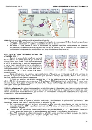 Arlindo Ugulino Netto ● MEDRESUMOS 2016 ● MAD II
51
www.medresumos.com.br
OBS
3
: Conclui-se, então, definitivamente as seguintes diferenças:
 As células T CD4+ auxiliares reconhecem os peptídeos ligados às moléculas do MHC de classe II, enquanto que
as LT CD8+ reconhecem os peptídeos ligados às moléculas de classe I.
 As células T CD4+ restritas à classe II reconhecem os peptídeos derivados principalmente das proteínas
extracelulares que são internalizadas nas vesículas das APCs, enquanto que as células T CD8+ reconhecem os
peptídeos derivados das proteínas citosólicas, em geral sintetizadas endogenamente.
PARTICIPAÇAO DOS CO-ESTIMULADORES NA
ATIVAÇÃO DOS LT
Durante a apresentação antigênica, como já
foi discutido, há dois sinais: o sinal 1, que consiste no
contato direito entre o MHC (com peptídeo estranho)
e o TCR do linfócito que irá realizar a resposta imune;
e o sinal 2, com o envolvimento dos co-estimuladores,
importantes nesse caso para especificar ainda mais a
interação entre essas duas células. Indo mais além, a
afinidade dos LTa e LTc com os MHC-II e MHC-I,
respectivamente.
Os co-estimuladores são proteínas expressas tanto na APC quanto nos LT. Quando este 2º sinal acontece, os
linfócitos T expressam ainda mais co-estimuladores (em resposta à interação de citocinas), ficando cada vez mais
excitável e se ativando de maneira mais efetiva.
O CD-28, por exemplo, que é outro marcador dos LT, se liga especificamente aos receptores B7-1 e B7-2 da
APC; o CD-40, este expresso na membrana da APC, se liga ao CD40Ligante presente nos linfócitos T. Nesse caso,
além da ativação da resposta imune pelos linfócitos T, há a indução à diferenciação dos linfócitos B (que também são
APCs) para a produção de anticorpos.
OBS
4
: Co-adjuvantes são substancias que podem ser administradas no indivíduo para que haja uma maior expressão
dos co-estimuladores dos linfócitos, aumentando exponencialmente a eficiência da resposta imune realizada por estas
células. Vacinas com moldes bacterianos, por exemplo, são administradas com cápsulas de bactérias e co-adjuvantes,
aumentando a eficácia da reposta imune.
FUNÇÕES EFETORAS DOS LT
Depois que ocorre a captura do antígeno pelas APCs, processamento e apresentação, os linfócitos T são
induzidos à ativação (fase efetora), realizando então as seguintes funções:
 Se o macrófago apresentar o antígeno extracelular ao LTa, ocorrerá a sua ativação por meio de citocinas
produzidas pelo LTa CD4+, o que fazem com que esta APC cresça em tamanho e em funcionalidade para dar
conta desse antígeno.
 Quando o LB é o responsável pela apresentação do antígeno extracelular, o LTa CD4+ ativa esta célula para
produzir anticorpos, sendo estes os responsáveis pela opsonização e neutralização dos antígenos.
 Se a APC apresentar o antígeno intracelular ao LTc CD8+, este se encarregará pela produção de citocinas
(perforinas e granzimas) para gerar a apoptose (deleção) desta célula.
 