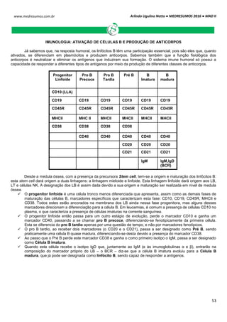 Arlindo Ugulino Netto ● MEDRESUMOS 2016 ● MAD II
53
www.medresumos.com.br
IMUNOLOGIA: ATIVAÇÃO DE CÉLULAS B E PRODUÇÃO DE ANTICORPOS
Já sabemos que, na resposta humoral, os linfócitos B têm uma participação essencial, pois são eles que, quanto
ativados, se diferenciam em plasmócitos e produzem anticorpos. Sabemos também que a função fisiológica dos
anticorpos é neutralizar e eliminar os antígenos que induziram sua formação. O sistema imune humoral só possui a
capacidade de responder a diferentes tipos de antígenos por meio da produção de diferentes classes de anticorpos.
Progenitor
Linfoide
Pro B
Precoce
Pro B
Tardia
Pré B B
Imatura
B
madura
CD10 (LLA)
CD19 CD19 CD19 CD19 CD19 CD19
CD45R CD45R CD45R CD45R CD45R CD45R
MHCII MHC II MHCII MHCII MHCII MHCII
CD38 CD38 CD38 CD38
CD40 CD40 CD40 CD40 CD40
CD20 CD20 CD20
CD21 CD21 CD21
IgM IgM,IgD
(BCR)
Desde a medula óssea, com a presença da precursora Stem cell, tem-se a origem e maturação dos linfócitos B:
esta stem cell dará origem a duas linhagens: a linhagem mieloide e linfoide. Esta linhagem linfoide dará origem aos LB,
LT e células NK. A designação dos LB é assim dada devido a sua origem e maturação ser realizada em nível de medula
óssea.
 O progenitor linfoide é uma célula tronco menos diferenciada que apresenta, assim como as demais fases de
maturação das células B, marcadores específicos que caracterizam esta fase: CD10, CD19, CD45R, MHCII e
CD38. Todos estes estão ancorados na membrana dos LB ainda nessa fase progenitora, mas alguns desses
marcadores direcionam a diferenciação para a célula B. Em leucemias, é comum a presença de células CD10 no
plasma, o que caracteriza a presença de células imaturas na corrente sanguínea.
 O progenitor linfoide então passa para um outro estágio de evolução, perde o marcador CD10 e ganha um
marcador CD40, passando a se chamar pro B precoce, diferenciando-se fenotipicamente da primeira célula.
Esta se diferencia do pro B tardio apenas por uma questão de tempo, e não por marcadores fenotípicos.
 O pro B tardio, ao receber dois marcadores (o CD20 e o CD21), passa a ser designado como Pré B, sendo
praticamente uma célula B quase madura, diferenciando-se desta devido a presença do marcador CD38.
 Ao passo que o Pré B perde este marcador CD38 e ganha o como primeiro isotipo o IgM, passa a ser designado
como Célula B imatura.
 Quando esta célula recebe o isotipo IgD que, juntamente ao IgM (e às imunoglobulinas α e β), entrarão na
composição do marcador próprio do LB – o BCR – diz-se que a célula B imatura evoluiu para a Célula B
madura, que já pode ser designada como linfócito B, sendo capaz de responder a antígenos.
 