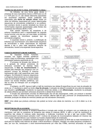 Arlindo Ugulino Netto ● MEDRESUMOS 2016 ● MAD II
54
www.medresumos.com.br
TEORIA DA SELEÇÃO CLONAL (EXPANSÃO CLONAL)
Os linfócitos, de uma forma geral, devido a
presença de seus marcadores típicos (o BCR para os LB
e o TCR para os LT), são células altamente capacitadas
em reconhecer peptídeos, sendo justificada esta
capacidade pela teoria da seleção clonal: existe um
clone de linfócitos responsável por pinçar determinadas
sequencias de aminoácidos antigênicos e se proliferar.
Isso acontece devido à grande variedade (ou clone) de
conformações espaciais apresentadas pelas fendas dos
receptores dos linfócitos (BCR e TCR).
Este variado repertório de receptores é de
extrema importância para a especificidade da resposta
imune humoral, uma vez que, por meio deles, os linfócitos
serão capazes de reconhecer qualquer tipo de
aminoácido antigênico.
A expansão clonal é, portanto, a proliferação de
linfócitos que reconheceram uma determinada sequência
de aminoácidos e serão responsáveis de responder
apenas a ela e, para cada sequência estranha de
aminoácidos, haverá uma expansão clonal específica.
FASES DA RESPOSTA IMUNE HUMORAL
As respostas imunes humorais,
iniciadas nos órgãos linfoides periféricos
(como o baço ou linfonodos), apresentam uma
participação bastante significante do LB.
O processo de ativação das células B
e a geração de células produtoras de
anticorpos consistem de distintas fases
sequenciais. A fase de reconhecimento é
iniciada pela interação dos antígenos com um
pequeno número de linfócitos B maduros
expressando IgM e IgD específicas para cada
antígeno. Os linfócitos B maduros responsivos
a antígenos desenvolvem-se na medula óssea
antes da estimulação antigênica. Essas células
entram nos tecidos linfoides periféricos, que
são os sítios de interação com os antígenos
estranhos.
O antígeno, via APC, liga-se à IgM e à IgD de membrana nas células B específicas (ou por meio da ativação de
sinais via LT auxiliares) e assim se inicia a fase de ativação. A ativação da célula B consiste de uma série de respostas
que induzem a proliferação, resultando na expansão clonal das células, e em diferenciação, resultando na produção
de células efetoras que secretam anticorpos ativamente e células B de memória.
A função dos plasmócitos oriundos da diferenciação dos LB são responsáveis, então, por produzir e secretar
anticorpos; mudar o isotipo do anticorpo (como por exemplo, alternar IgM em IgE); promover um amadurecimento da
afinidade; produção de células de memória (células que não secretaram anticorpos).
OBS
1
: Uma célula que produziu anticorpo não poderá se tornar uma célula de memória: ou o LB é efetor ou é de
memória.
RECEPTOR DA CÉLULA B (BCR)
A ativação dos linfócitos B antígeno-específicos é iniciada pelo contato do antígeno com as moléculas Ig de
membrana, que são os receptores de antígenos das células B maduras (BCR). A IgM e a IgD de membrana na
superfície das células B maduras estão associadas a moléculas invariáveis de Igα e Igβ, que contém ITAMs
(immunoreceptor tyrosine-based activation motif = motivos de ativação de imunoreceptores baseado em tirosina) nas
suas caudas citoplasmáticas e que medeiam as funções citoplasmáticas de sinalização.
Esses pequenos complexos transmembranares (o Igα e o Igβ) associados ao BCR são os reais transdutores de
sinal para as regiões mais internas da célula: o BCR reconhece o antígeno, interage com estes pequenos complexos e
eles, por sua vez, transduzem o sinal transmembranamente por meio das ITAMs, domínios ancorados na cauda
 