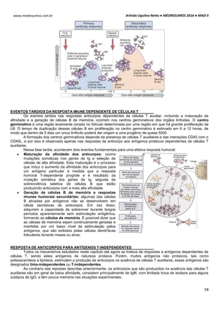 Arlindo Ugulino Netto ● MEDRESUMOS 2016 ● MAD II
58
www.medresumos.com.br
EVENTOS TARDIOS DA RESPOSTA IMUNE DEPENDENTE DE CÉLULAS T
Os eventos tardios nas respostas anticorpos dependentes de células T auxiliar, incluindo a maturação da
afinidade e a geração de células B de memória, ocorrem nos centros germinativos dos órgãos linfoides. O centro
germinativo é uma região levemente corada no folículo determinada por uma região em que há grande proliferação de
LB. O tempo de duplicação dessas células B em proliferação no centro germinativo é estimado em 6 a 12 horas, de
modo que dentro de 5 dias um único linfócito poderá dar origem a uma progênio de quase 5000.
A formação dos centros germinativos depende da presença de células T auxiliares e das interações CD40 com o
CD40L, e por isso é observada apenas nas respostas de anticorpo aos antígenos proteicos dependentes de células T
auxiliares.
Nessa fase tardia, acontecem dois eventos fundamentais para uma efetiva resposta humoral:
 Maturação da afinidade dos anticorpos: ocorre
mutações somáticas nos genes da Ig e seleção de
células de alta afinidade. Esta maturação é o processo
que induz o aumento da afinidade dos anticorpos para
um antígeno particular à medida que a resposta
humoral T-dependente progride e é resultado da
mutação somática dos genes de Ig, seguida da
sobrevivência seletiva de células B que estão
produzindo anticorpos com a mais alta afinidade.
 Geração de células B de memória e respostas
imunes humorais secundárias: algumas das células
B ativadas por antígenos não se desenvolvem em
célula secretoras de anticorpos. Em vez disso,
adquirem a capacidade de sobreviver durante longos
períodos aparentemente sem estimulação antigênica,
formando as células de memória. É possível dizer que
as células de memória sejam continuamente geradas e
mantidas por um baixo nível de estimulação pelos
antígenos, que são exibidos pelas células dendríticas
foliculares durante meses ou anos.
RESPOSTA DE ANTICORPOS PARA ANTÍGENOS T-INDEPENDENTES
Todos os mecanismos estudados neste capítulo até agora se tratava de respostas a antígenos dependentes de
células T, sendo estes antígenos de natureza proteica. Porém, muitos antígenos não proteicos, tais como
polissacarídeos e lipídeos, estimulam a produção de anticorpos na ausência de células T auxiliares, esses antígenos são
designados timo-independentes ou T-independentes.
Ao contrário das repostas descritas anteriormente, os anticorpos que são produzidos na ausência das células T
auxiliares são em geral de baixa afinidade, consistem principalmente de IgM, com limitada troca de isotipos para alguns
subtipos de IgG, e têm pouca memória nas situações experimentais.
 