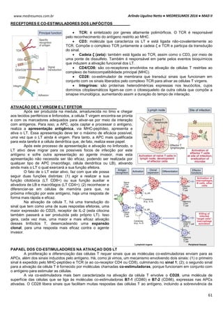 Arlindo Ugulino Netto ● MEDRESUMOS 2016 ● MAD II
61
www.medresumos.com.br
RECEPTORES E CO-ESTIMULADORES DOS LINFÓCITOS
 TCR: é sintetizado por genes altamente polimórficos. O TCR é responsável
pelo reconhecimento do antígeno restrito ao MHC.
 CD3: molécula que caracteriza os LT e está ligada não-covalentemente ao
TCR. Compõe o complexo TCR juntamente a cadeia ζ e TCR e particpa da transdução
do sinal.
 Cadeia ζ (zeta): também está ligada ao TCR, assim como o CD3, por meio de
uma ponte de dissulfeto. Também é responsável em parte pelos eventos bioquímicos
que induzem a ativação funcional dos LT.
 CD4/CD8: são co-receptores envolvidos na ativação de células T restritas ao
complexo de histocompatibilidade principal (MHC).
 CD28: co-estimulador de membrana que transduz sinais que funcionam em
conjunto com os sinais liberados pelo complexo TCR para ativar as células T virgens.
 Integrinas: são proteínas heterodiméricas expressas nos leucócitos, cujos
domínios citoplasmáticos ligam-se com o citoesqueleto da outra célula que compõe a
sinapse imunológica, aumentando assim a duração do tempo de interação.
ATIVAÇÃO DE LT VIRGEM E LT EFETOR
Após ser produzida na medula, amadurecida no timo e chegar
aos tecidos periféricos e linfonodos, a célula T virgem encontra-se pronta
e com os marcadores adequados para ativar-se por meio da interação
com antígenos. Para isso, a APC, após captar e processar o antígeno,
realiza a apresentação antigênica, via MHC-peptídeo, apresenta e
ativa o LT. Essa apresentação deve ter o máximo de eficácia possível,
uma vez que o LT ainda é virgem. Para tanto, a APC mais qualificada
para esta tarefa é a célula dendrítica que, de fato, realiza esse papel.
Após este processo de apresentação e ativação no linfonodo, o
LT ativo deve migrar para os possíveis focos de infecção por este
antígeno e sofre outra apresentação ao agente invasor, mas esta
apresentação não necessita ser tão eficaz, podendo ser realizada por
qualquer tipo de APC (macrófago, célula dendrítica ou LB), ativando
ainda mais o LT o qual exercerá a sua função efetora.
O fato de o LT estar ativo, faz com que ele possa
seguir duas funções distintas: (1) agir e realizar a sua
função citotóxica (LT CD8+) ou sua função auxiliar e
ativadora de LB e macrófagos (LT CD4+); (2) reconhecer e
diferenciar-se em células de memória para que, na
próxima infecção por este antígeno, haja uma resposta de
forma mais rápida e eficaz.
Na ativação da célula T, há uma transdução do
sinal que tem como uma de suas respostas efetoras, uma
maior expressão do CD25, receptor de IL-2 (esta citocina
também passará a ser produzida pelo próprio LT). Isso
gera, cada vez mas, uma maior e mais eficaz ativação
desses linfócitos T, desencadeando uma expansão
clonal, para uma resposta mais eficaz contra o agente
invasor.
PAPAEL DOS CO-ESTIMULADORES NA ATIVAÇAO DOS LT
A proliferação e diferenciação das células T requer sinais que as moléculas co-estimuladoras enviam para as
APCs, além dos sinais induzidos pelo antígeno. Há, como já vimos, um mecanismo envolvendo dois sinais: (1) o primeiro
sinal é expedido pelo MHC-peptídeo e TCR (e ao co-receptor CD4 ou CD8), culminando no sinal 1; (2); o segundo sinal
para a ativação da célula T é fornecido por moléculas chamadas co-estimuladoras, porque funcionam em conjunto com
o antígeno para estimular as células.
A via co-estimuladora mais bem caracterizada na ativação da célula T envolve o CD28, uma molécula de
superfície das células que se liga às moléculas co-estimuladoras B7-1 (CD80) e B7-2 (CD86), expressas nas APCs
ativadas. O CD28 libera sinais que facilitam muitas respostas das células T ao antígeno, incluindo a sobrevivência da
 