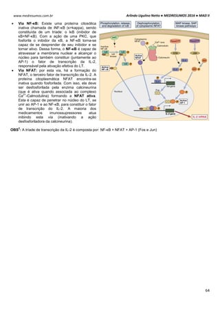 Arlindo Ugulino Netto ● MEDRESUMOS 2016 ● MAD II
64
www.medresumos.com.br
 Via NF-κB: Existe uma proteína citosólica
inativa chamada de iNF-κB (κ=kappa), sendo
constituída de um tríade: o IκB (inibidor de
κB+NF-κB). Com a ação de uma PKC, que
fosforila o inibidor da κB, a NF-κB torna-se
capaz de se desprender de seu inibidor e se
tornar ativo. Dessa forma, o NF-κB é capaz de
atravessar a membrana nuclear e alcançar o
núcleo para também constituir (juntamente ao
AP-1) o fator de transcrição da IL-2,
responsável pela ativação efetiva do LT.
 Via NFAT: por esta via, há a formação do
NFAT, o terceiro fator de transcrição da IL-2. A
proteína citoplasmática NFAT encontra-se
inativa quando fosforilada. Com isso, ela deve
ser desfosforilada pela enzima calcineurina
(que é ativa quando associada ao complexo
Ca
2+
-Calmodulina) formando a NFAT ativa.
Esta é capaz de penetrar no núcleo do LT, se
unir ao AP-1 e ao NF-κB, para constituir o fator
de transcrição do IL-2. A maioria dos
medicamentos imunossupressores atua
inibindo esta via (inativando a ação
desfosforiladora da calcineurina).
OBS
2
: A tríade de transcrição da IL-2 é composta por: NF-κB + NFAT + AP-1 (Fos e Jun)
 