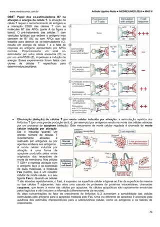 Arlindo Ugulino Netto ● MEDRESUMOS 2016 ● MAD II
74
www.medresumos.com.br
OBS
7
: Papel dos co-estimuladores B7 na
ativação e anergia da célula T. A ativação da
célula T requer o reconhecimento do antígeno e
a interação CD28 das células T com as
moléculas B7 das APCs (parte A da figura a
baixo). O pré-tratamento das células T com
vesículas lipídicas que exibem o antígeno mas
carecem de B7 (B), ou com APCs que são
tratados para destruir os co-estimuladores (C),
resulta em anergia da célula T e a falta de
resposta ao antígeno apresentado por APCs
normais. Proporcionando um sinal co-
estimulador por outra célula acessória (D) ou
por um anti-CD28 (E), impede-se a indução de
anergia. Esses experimentos foram feitos com
clones de células T especificas para
determinados peptídeos.
 Eliminação (deleção) de células T por morte celular induzida por ativação: a estimulação repetida dos
linfócitos T (por uma grande produção de IL-2, por exemplo) por antígenos resulta na morte das células ativadas
por um processo de apoptose (deleção). Este mecanismo de morte celular regulada é chamada de morte
celular induzida por ativação.
Ela é induzida quando um
grande número de células T
recentemente ativadas é
reativado por antígenos ou por
agentes similares aos antígenos.
A morte celular induzida por
ativação é uma forma de
apoptose produzida pelos sinais
originados dos receptores de
morte da membrana. Nas células
T CD4+ a repetida ativação com
o antígeno leva à co-expressão
de duas moléculas, a molécula
Fas (CD95), que é um receptor
indutor de morte celular, e o seu
ligante Fas L. Quando as células
T são ativadas repetidamente, o FasL é expresso na superfície celular e liga-se ao Fas da superfície da mesma
ou das células T adjacentes. Isso ativa uma cascata de proteases de proteínas intracelulares, chamadas
caspases, que levam à morte das células por apoptose. As células apoptóticas são rapidamente envolvidas
pelos fagócitos e não induzem a inflamação (diferentemente da necrose).
As altas concentrações do fator de crescimento de linfócitos IL-2 aumentam a sensibilidade das células
estimuladas pelo antígeno para a apoptose mediada pelo Fas. Uma via diferente de apoptose é acionada pela
ausência dos estímulos imprescindíveis para a sobrevivência celular, como os antígenos e os fatores de
crescimento.
 