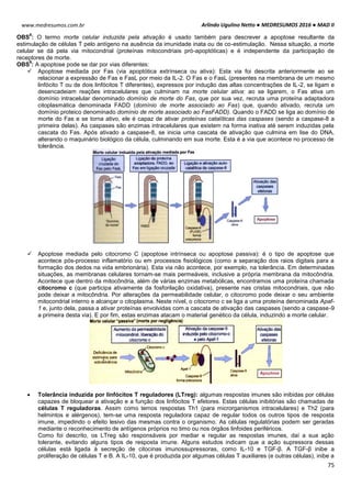 Arlindo Ugulino Netto ● MEDRESUMOS 2016 ● MAD II
75
www.medresumos.com.br
OBS
8
: O termo morte celular induzida pela ativação é usado também para descrever a apoptose resultante da
estimulação de células T pelo antígeno na ausência da imunidade inata ou de co-estimulação. Nessa situação, a morte
celular se dá pela via mitocondrial (proteínas mitocondriais pró-apoptóticas) e é independente da participação de
receptores de morte.
OBS
9
: A apoptose pode se dar por vias diferentes:
 Apoptose mediada por Fas (via apoptótica extrínseca ou ativa): Esta via foi descrita anteriormente ao se
relacionar a expressão de Fas e FasL por meio da IL-2. O Fas e o FasL (presentes na membrana de um mesmo
linfócito T ou de dois linfócitos T diferentes), expressos por indução das altas concentrações de IL-2, se ligam e
desencadeiam reações intracelulares que culminam na morte celular ativa: ao se ligarem, o Fas ativa um
domínio intracelular denominado domínio de morte do Fas, que por sua vez, recruta uma proteína adaptadora
citoplasmática denominada FADD (domínio de morte associado ao Fas) que, quando ativado, recruta um
domínio proteico denominado domínio de morte associado ao FasFADD). Quando o FADD se liga ao domínio de
morte do Fas e se torna ativo, ele é capaz de ativar proteínas catalíticas das caspases (sendo a caspase-8 a
primeira delas). As caspases são enzimas intracelulares que existem na forma inativa até serem induzidas pela
cascata do Fas. Após ativado a caspase-8, se inicia uma cascata de ativação que culmina em lise do DNA,
alterando o maquinário biológico da célula, culminando em sua morte. Esta é a via que acontece no processo de
tolerância.
 Apoptose mediada pelo citocromo C (apoptose intrínseca ou apoptose passiva): é o tipo de apoptose que
acontece pós-processo inflamatório ou em processos fisiológicos (como a separação dos raios digitais para a
formação dos dedos na vida embrionária). Esta via não acontece, por exemplo, na tolerância. Em determinadas
situações, as membranas celulares tornam-se mais permeáveis, inclusive a própria membrana da mitocôndria.
Acontece que dentro da mitocôndria, além de várias enzimas metabólicas, encontramos uma proteína chamada
citocromo c (que participa ativamente da fosforilação oxidativa), presente nas cristas mitocondriais, que não
pode deixar a mitocôndria. Por alterações da permeabilidade celular, o citocromo pode deixar o seu ambiente
mitocondrial interno e alcançar o citoplasma. Neste nível, o citocromo c se liga a uma proteína denominada Apaf-
1 e, junto dela, passa a ativar proteínas envolvidas com a cascata de ativação das caspases (sendo a caspase-9
a primeira desta via). E por fim, estas enzimas atacam o material genético da célula, induzindo a morte celular.
 Tolerância induzida por linfócitos T reguladores (LTreg): algumas respostas imunes são inibidas por células
capazes de bloquear a ativação e a função dos linfócitos T efetores. Estas células inibitórias são chamadas de
células T reguladoras. Assim como temos respostas Th1 (para microrganismos intracelulares) e Th2 (para
helmintos e alérgenos), tem-se uma resposta reguladora capaz de regular todos os outros tipos de resposta
imune, impedindo o efeito lesivo das mesmas contra o organismo. As células regulatórias podem ser geradas
mediante o reconhecimento de antígenos próprios no timo ou nos órgãos linfoides periféricos.
Como foi descrito, os LTreg são responsáveis por mediar e regular as respostas imunes, daí a sua ação
tolerante, evitando alguns tipos de resposta imune. Alguns estudos indicam que a ação supressora dessas
células está ligada à secreção de citocinas imunossupressoras, como IL-10 e TGF-β. A TGF-β inibe a
proliferação de células T e B. A IL-10, que é produzida por algumas células T auxiliares (e outras células), inibe a
 