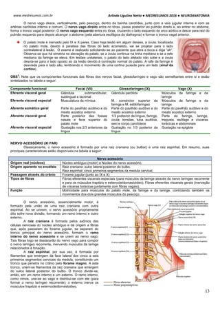 Medresumos 2016 neuroanatomia 08 - nervos cranianos | PDF