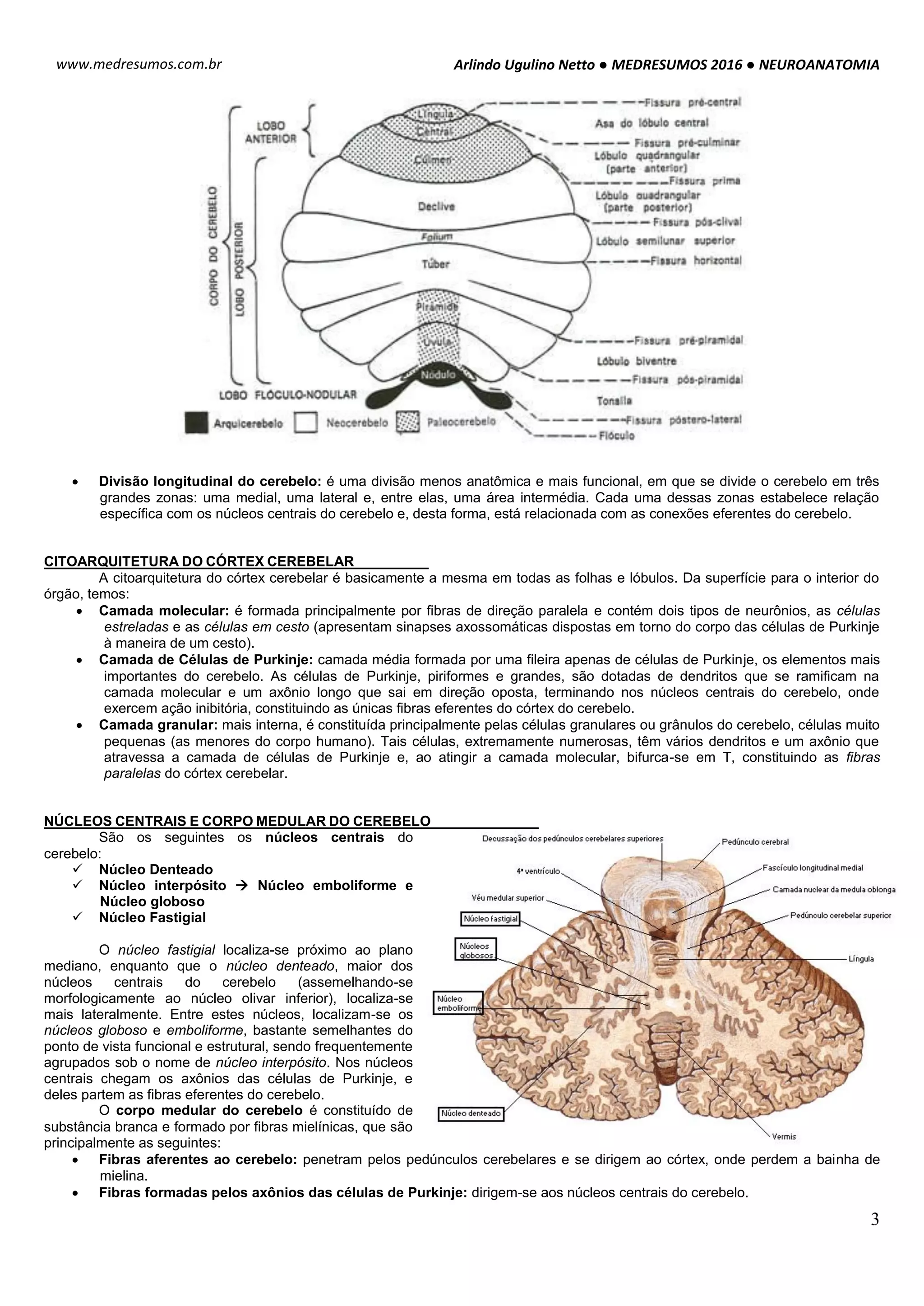 Medresumos 2016 neuroanatomia 09 - estrutura e funções do cerebelo ...