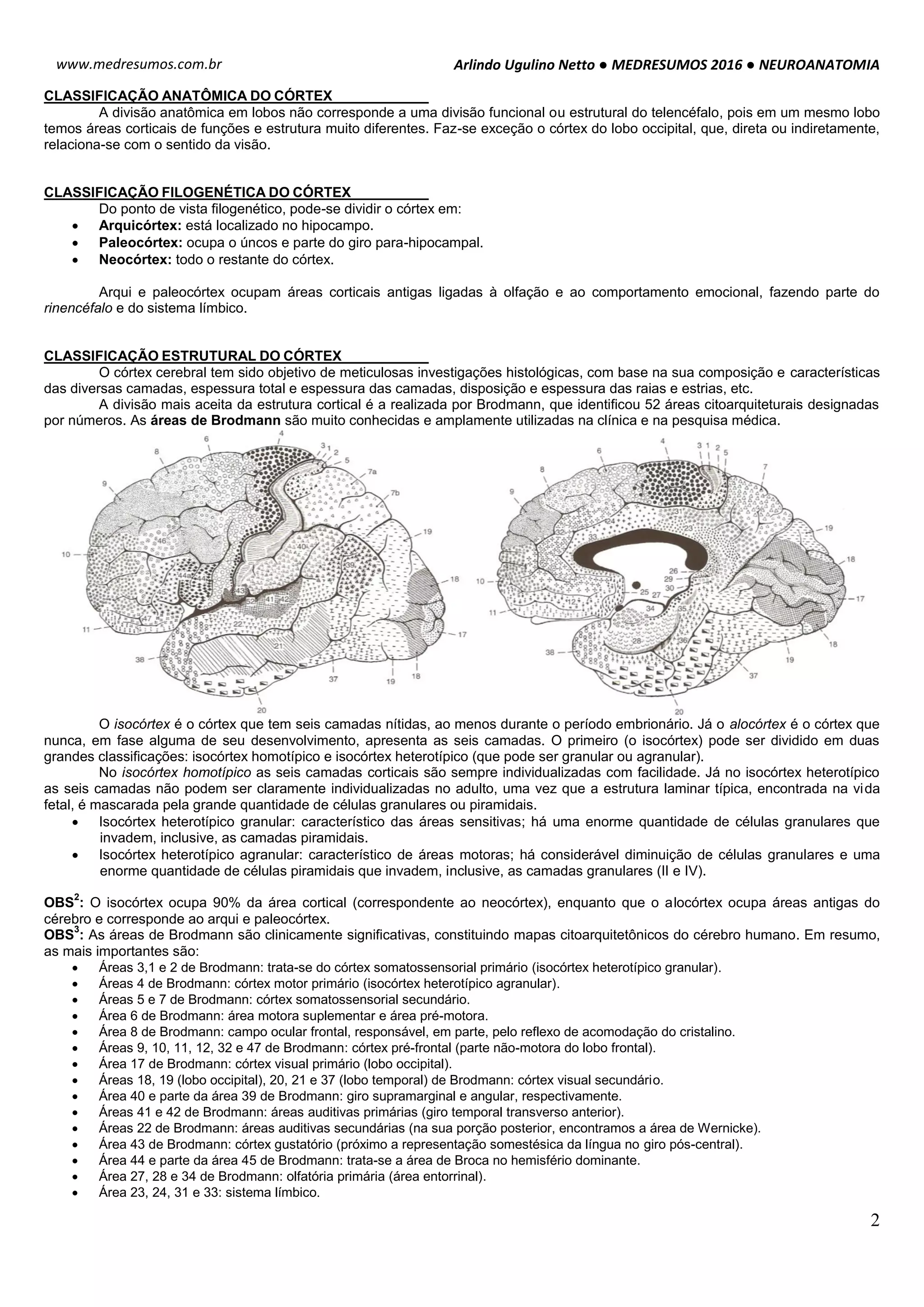Medresumos 2016 neuroanatomia 14 - aspectos funcionais do córtex ...
