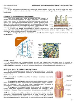 Arlindo Ugulino Netto ● MEDRESUMOS 2016 ● OMF – SISTEMA DIGESTÓRIO
19
www.medresumos.com.br
SUBLINGUAL
É uma glândula túbulo-acinosa cuja cápsula não é bem definida. Produz uma secreção mista, pois possui
predominantemente ácinos mucosos associados a semiluas serosas e circundados por células mioepeteliais com ductos
não extensos.
VASOS DO TRATO ESOFAGOGASTRINTESTINAL
Tem como função nutrir todas as células do trato, inclusive o
intestino, e removendo os produtos de nutrição absorvidos a nível entérico.
Esses vasos partem da submucosa, perfuram as fibras da muscular da
mucosa para vascularizar com capilares a lâmina própria, podendo atingir
abaixo da membrana (lâmina) basal do epitélio na região apical da vilosidade,
retornando com a remoção dos produtos de digestão: carboidratos em forma
de monossacarídeos e proteínas em forma de amino ácidos.
O transporte dos lipídios (armazenados em quilomícrons) é feito por vasos linfáticos de fundo cego. Esses
vasos partem em direção à lâmina própria, acima da muscular da mucosa, formando depôs um plexo linfático na
submucosa, onde circundam os nódulos linfáticos (GALT).
Toda a drenagem dos produtos provenientes da digestão é encaminhada pelas veias mesentéricas até a veia
porta hepática.
SISTEMA PORTA
O fígado possui uma circulação peculiar, uma vez que é este órgão que recebe todos os produtos da
degradação dos alimentos: carboidratos e proteínas através da circulação sanguínea e lipídios da circulação linfática. A
artéria hepática é responsável por levar os produtos metabolizados no fígado para todo o restante do corpo.
INERVAÇÃO DO TRATO ESOFAGOGASTRINTESTINAL
O trato esofagogastrintestinal recebe fibras autônomas motoras e sensitivas,
sendo elas divididas em componentes extrínsecos. As fibras motoras são simpáticas e
parassimpáticas.
OBS
7
: A inervação da musculatura esquelética do esôfago e do esfíncter anal externo
é motora somática.
O componente extrínseco é característico da manifestação motora motoras,
sendo intermediado por fibras provenientes do exterior (sistema nervoso autônomo,
logo, de musculatura lisa), ou seja, fibras pós-ganglionares simpáticas e
parasimpáticas. É responsável pela manutenção da peristalse.
O componente intrínseco é feito por fibras nervosas da própria parede dos
tubos e pelos plexos mioentérico (Auerbach, responsável pela contração – fibras
simpáticas - e dilatação – fibras parassimpáticas - do tubo) e submucoso (Meissner).
OBS
8
: Nos dois plexos, as células ganglionares motoras fazem sinapse com fibras
simpáticas e pré-ganglionares parassimpáticas. A parte intrínseca é conhecida
também como sistema nervoso entérico, uma vez que além de neurônios motores,
tem neurônios sensitivos nos gânglios que, no plexo submucoso inervam o epitélio e
 