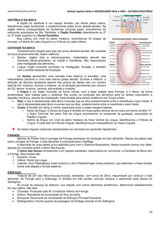 Arlindo Ugulino Netto ● MEDRESUMOS 2016 ● OMF – SISTEMA DIGESTÓRIO
22
www.medresumos.com.br
VESTÍBULO DA BOCA
A região do vestíbulo é um espaço limitado, por diante pelos Lábios,
lateralmente pelas bochechas, e posteriormente pelos arcos alvéolo-dentais. Na
região interna correspondente às bochechas (mucosa jugal), encontramos 02
estruturas associadas às Gls. Parótidas: a Papila Parotídea (lateralmente ao 2º
ou 3º molar superior) e o Ducto Parotídeo.
Nos Lábios, em nível do plano mediano, encontramos 02 pregas da
mucosa: o Frênulo do Lábio Superior e o Frênulo do Lábio Inferior.
CAVIDADE DA BOCA
Compartimento situado para trás dos arcos alvéolos-dentais. Na cavidade
da boca propriamente dita, fazem saliência:
 Dentes: órgãos rijos e esbranquiçados, implantados através das
Gonfoses Dento-alveolares, na maxila e mandíbula. São responsáveis
pela mastigação dos alimentos.
 Língua: órgão muscular envolvido na mastigação, fonação, e também
com o sentido especial da Gustação.
Os dentes apresentam uma camada mais externa (o esmalte), uma
intermediária (dentina) e uma mais interna (polpa dental). Durante a infância, a
dentição da decídua apresenta apenas três grupos de dentes (em um número
total de 20): incisivos, caninos e molares. Já na dentição permanente (em número
de 32), temos: incisivos, caninos, pré-molares e molares.
A língua é um órgão muscular de forma cônica, com a base voltada para Faringe, e o Ápice, de forma
arredondada, está voltada para o vestíbulo. Ela auxilia na condução dos alimentos para os dentes executarem a
digestão mecânica, através da mastigação. Está dividida para estudo anatômico em Corpo e Raiz:
 Raiz: a raiz é representada pelo bloco muscular que se situa posteriormente entre a mandíbula e osso hioide. A
raiz é representada pelo bloco muscular que se situa posteriormente entre a mandíbula e osso hioide.
 Corpo: é dividido em dorso e ventre, separados entre si pelas margens laterais.
o Dorso da língua: O Dorso da língua é dividido em duas partes através de um sulco em forma da letra “V”,
o Sulco Terminal. Na parte Oral da Língua encontramos os receptores da gustação, associados as
Papilas Linguais.
o Ventre da língua: em nível do plano mediano da Face Ventral da Língua, identificamos o Frênulo da
Língua. A cada lado do Frênulo Lingual, identificamos por transparência, as Veias Linguais.
As Veias Linguais costumam apresentarem-se varicosas em pacientes hipertensos.
FARINGE
Apenas as Partes Oral e Laríngea da Faringe participam da condução do bolo alimentar. Depois de passar pela
parte Laríngea da Faringe, o bolo alimentar é conduzido para o Esôfago.
A descrição de suas partes já foi realizada junto com o Sistema Respiratório. Neste momento iremos nos deter,
apenas em comentar sobre o Istmo das Fauces.
O istmo das fauces corresponde a um espaço estreitado, responsável por comunicar, a Cavidade da Boca com
a Faringe. Seus limites são:
 Superior: Úvula
 Inferior: Dorso da Língua
 Laterais: Arco Palatoglosso (mais anterior) e Arco Palatofaríngeo (mais posterior), que delimitam a fossa tonsilar
(onde está alojada a tonsila palatina).
ESÔFAGO
Trata-se de um tubo fibro-músculo-mucoso, estreitado, com cerca de 25cm, responsável por conduzir o bolo
alimentar, da Faringe para o Estômago. É dividido em três porões: cervical, torácica e abdominal (esta abaixo do
diafragma).
Ao cruzar do pescoço ao abdome, sua relação com outros elementos anatômicos, determinam estreitamentos
em seu calibre. São eles:
 Cricoideo: Produzido pelo M. Constrictor Inferior da Faringe.
 Aórtico: Resultante da compressão do Arco da Aorta.
 Bronquial: Decorrente da compressão do Brônquio Principal Esquerdo.
 Diafragmático: Ocorre quando da passagem do Esôfago através do M. Diafragma.
 