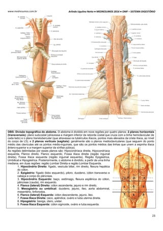 Arlindo Ugulino Netto ● MEDRESUMOS 2016 ● OMF – SISTEMA DIGESTÓRIO
23
www.medresumos.com.br
OBS: Divisão topográfica do abdome. O abdome é dividido em nove regiões por quatro planos: 2 planos horizontais
(transversais): plano subcostal (atravessa a margem inferior da reborda costal que cruza com a linha hemiclavicular de
cada lado) e o plano transtubercular (que atravessa os tubérculos ilíacos, pontos mais elevados da crista ilíaca, ao nível
do corpo de L5); e 2 planos verticais (sagitais): geralmente são o planos medioclaviculares (que seguem do ponto
médio das clavículas até os pontos médio-inguinais, que são os pontos médios das linhas que unem a espinha ilíaca
ântero-superior e a margem superior da sínfise púbica).
As regiões delimitadas por esses planos são: Hipocondríaca direita, Hipocondríaca
esquerda, Flanco direito, Flanco esquerdo, Fossa ilíaca direita (região inguinal
direita), Fossa ilíaca esquerda (região inguinal esquerda), Região Epigástrica,
Umbilical e Hipogástrica. Posteriormente, o abdome é dividido, a partir de uma linha
mediana, em duas regiões: região Lombar Direita e região Lombar Esquerda.
1. Hipocôndrio Direito: fígado, vesícula biliar, rim direito, flexura hepática
do cólon.
2. Epigástrio: fígado (lobo esquerdo), piloro, duodeno, cólon transverso e
cabeça e corpo do pâncreas.
3. Hipocôndrio Esquerdo: baço, estômago, flexura esplênica do cólon,
pâncreas (cauda), rim esquerdo.
4. Flanco (lateral) Direito: cólon ascendente, jejuno e rim direito.
5. Mesogástrio ou umbilical: duodeno, jejuno, íleo, aorta abdominal,
mesentério, linfonodos.
6. Flanco (lateral) Esquerdo: cólon descendente, jejuno, íleo.
7. Fossa Ilíaca Direita: ceco, apêndice, ovário e tuba uterina direita.
8. Hipogástrio: bexiga, útero, ureter.
9. Fossa Ilíaca Esquerda: cólon sigmoide, ovário e tuba esquerda.
 