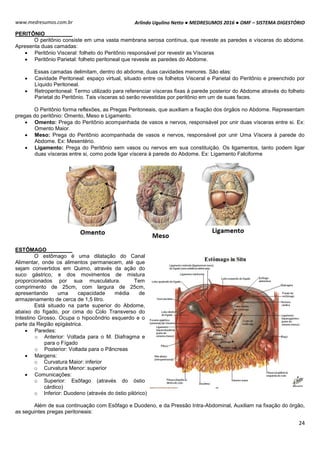 Arlindo Ugulino Netto ● MEDRESUMOS 2016 ● OMF – SISTEMA DIGESTÓRIO
24
www.medresumos.com.br
PERITÔNIO
O peritônio consiste em uma vasta membrana serosa contínua, que reveste as paredes e vísceras do abdome.
Apresenta duas camadas:
 Peritônio Visceral: folheto do Peritônio responsável por revestir as Vísceras
 Peritônio Parietal: folheto peritoneal que reveste as paredes do Abdome.
Essas camadas delimitam, dentro do abdome, duas cavidades menores. São elas:
 Cavidade Peritoneal: espaço virtual, situado entre os folhetos Visceral e Parietal do Peritônio e preenchido por
Líquido Peritoneal.
 Retroperitoneal: Termo utilizado para referenciar vísceras fixas à parede posterior do Abdome através do folheto
Parietal do Peritônio. Tais vísceras só serão revestidas por peritônio em um de suas faces.
O Peritônio forma reflexões, as Pregas Peritoneais, que auxiliam a fixação dos órgãos no Abdome. Representam
pregas do peritônio: Omento, Meso e Ligamento.
 Omento: Prega do Peritônio acompanhada de vasos e nervos, responsável por unir duas vísceras entre si. Ex:
Omento Maior.
 Meso: Prega do Peritônio acompanhada de vasos e nervos, responsável por unir Uma Víscera à parede do
Abdome. Ex: Mesentério.
 Ligamento: Prega do Peritônio sem vasos ou nervos em sua constituição. Os ligamentos, tanto podem ligar
duas vísceras entre si, como pode ligar víscera à parede do Abdome. Ex: Ligamento Falciforme
ESTÔMAGO
O estômago é uma dilatação do Canal
Alimentar, onde os alimentos permanecem, até que
sejam convertidos em Quimo, através da ação do
suco gástrico, e dos movimentos de mistura
proporcionados por sua musculatura. Tem
comprimento de 25cm, com largura de 25cm,
apresentando uma capacidade média de
armazenamento de cerca de 1,5 litro.
Está situado na parte superior do Abdome,
abaixo do fígado, por cima do Colo Transverso do
Intestino Grosso. Ocupa o hipocôndrio esquerdo e o
parte da Região epigástrica.
 Paredes:
o Anterior: Voltada para o M. Diafragma e
para o Fígado
o Posterior: Voltada para o Pâncreas
 Margens:
o Curvatura Maior: inferior
o Curvatura Menor: superior
 Comunicações:
o Superior: Esôfago (através do óstio
cárdico)
o Inferior: Duodeno (através do óstio pilórico)
Além de sua continuação com Esôfago e Duodeno, e da Pressão Intra-Abdominal, Auxiliam na fixação do órgão,
as seguintes pregas peritoneais:
 