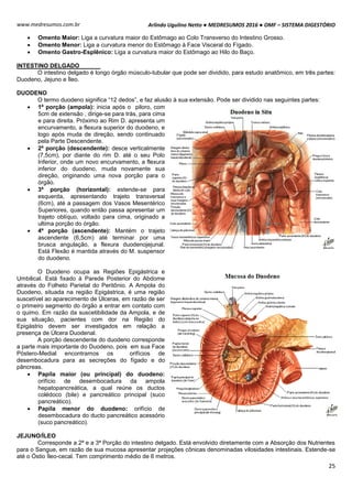 Arlindo Ugulino Netto ● MEDRESUMOS 2016 ● OMF – SISTEMA DIGESTÓRIO
25
www.medresumos.com.br
 Omento Maior: Liga a curvatura maior do Estômago ao Colo Transverso do Intestino Grosso.
 Omento Menor: Liga a curvatura menor do Estômago à Face Visceral do Fígado.
 Omento Gastro-Esplênico: Liga a curvatura maior do Estômago ao Hilo do Baço.
INTESTINO DELGADO
O intestino delgado é longo órgão músculo-tubular que pode ser dividido, para estudo anatômico, em três partes:
Duodeno, Jejuno e Íleo.
DUODENO
O termo duodeno significa “12 dedos”, e faz alusão à sua extensão. Pode ser dividido nas seguintes partes:
 1ª porção (ampola): inicia após o piloro, com
5cm de extensão , dirige-se para trás, para cima
e para direita. Próximo ao Rim D. apresenta um
encurvamento, a flexura superior do duodeno, e
logo após muda de direção, sendo continuado
pela Parte Descendente.
 2ª porção (descendente): desce verticalmente
(7,5cm), por diante do rim D. até o seu Polo
Inferior, onde um novo encurvamento, a flexura
inferior do duodeno, muda novamente sua
direção, originando uma nova porção para o
órgão.
 3ª porção (horizontal): estende-se para
esquerda, apresentando trajeto transversal
(6cm), até a passagem dos Vasos Mesentérico
Superiores, quando então passa apresentar um
trajeto oblíquo, voltado para cima, originado a
ultima porção do órgão.
 4ª porção (ascendente): Mantém o trajeto
ascendente (6,5cm) até terminar por uma
brusca angulação, a flexura duodenojejunal.
Está Flexão é mantida através do M. suspensor
do duodeno.
O Duodeno ocupa as Regiões Epigástrica e
Umbilical. Está fixado à Parede Posterior do Abdome
através do Folheto Parietal do Peritônio. A Ampola do
Duodeno, situada na região Epigástrica, é uma região
suscetível ao aparecimento de Úlceras, em razão de ser
o primeiro segmento do órgão a entrar em contato com
o quimo. Em razão da suscetibilidade da Ampola, e de
sua situação, pacientes com dor na Região do
Epigástrio devem ser investigados em relação a
presença de Úlcera Duodenal.
A porção descendente do duodeno corresponde
a parte mais importante do Duodeno, pois em sua Face
Póstero-Medial encontramos os orifícios de
desembocadura para as secreções do fígado e do
pâncreas.
 Papila maior (ou principal) do duodeno:
orifício de desembocadura da ampola
hepatopancreática, a qual reúne os ductos
colédoco (bile) e pancreático principal (suco
pancreático).
 Papila menor do duodeno: orifício de
desembocadura do ducto pancreático acessório
(suco pancreático).
JEJUNO/ÍLEO
Corresponde a 2ª e a 3ª Porção do intestino delgado. Está envolvido diretamente com a Absorção dos Nutrientes
para o Sangue, em razão de sua mucosa apresentar projeções cônicas denominadas vilosidades intestinais. Estende-se
até o Óstio Íleo-cecal. Tem comprimento médio de 6 metros.
 