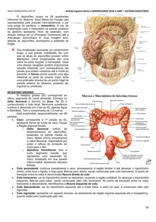 Arlindo Ugulino Netto ● MEDRESUMOS 2016 ● OMF – SISTEMA DIGESTÓRIO
26
www.medresumos.com.br
O Jejuno/Íleo ocupa os 06 quadrantes
inferiores do Abdome. Seus Meios de Fixação são
representados pela pressão intra-abdominal, e por
uma prega do peritônio, o mesentério. A raiz de
implantação para o mesentério na parede posterior
do abdome apresenta 15cm de extensão, com
direção oblíqua de L2 (Processo Transverso) até a
Articulação Sacro-Ilíaca D. Sua margem livre,
aderida ao Jejuno/Íleo, acompanha a extensão do
Órgão.
Sua localização associada ao comprimento
longo, e sua grande mobilidade, faz com
que as alças do Jejuno/Íleo possam sofrer
alterações, como invaginações deu uma
valva na outra; torções; e herniações. Cada
uma dessas situações poderá proporcionar
oclusão intestinal, com consequências tão
graves que podem ocasionar até a morte do
paciente. A hérnia ocorre quando uma alça
intestinal ou parte do omento maior sofre
uma protrusão através de um ponto frágil da
parede anterior do Abdome, podendo ser
inguinal ou umbilicais.
INTESTINO GROSSO
O intestino grosso (IG) corresponde ao
último segmento do canal alimentar. Começa no
óstio ileocecal e termina no ânus. No IG é
confeccionado o bolo fecal. Nenhuma substância
nutritiva é absorvida em nível do IG, apenas Água
e Eletrólitos. Tem o comprimento de 1,5 metros.
Está subdividido, sequencialmente, em 06
porções:
 Ceco: corresponde à 1ª porção do IG,
apresenta forma de fundo de saco. Ocupa
a Região Inguinal Direita.
o Óstio ileocecal: orifício de
desembocadura do Jejuno/Íleo,
localizado na parede medial do
Ceco. Neste orifício encontramos
a valva ileocecal, responsável por
evitar o refluxo do conteúdo do
Ceco para o íleo.
o Apêndice Vermiforme: fino e
curto segmento tubular, que
representa uma expansão do
Ceco, localizado em sua parede
ínfero-medial. Apresenta natureza
linfoide.
 Colo ascendente: continua cranialmente o ceco, atravessando à região lombar d até alcançar o hipocôndrio
direito, onde toca o fígado, e logo após flete-se para direita, sendo continuado pelo colo transverso. O ponto de
transição entre os colos é denominado flexura direita do colo.
 Colo transverso: vai do hipocôndrio direito ao esquerdo, cruzando à região umbilical. Ao alcançar o hipocôndrio
esquerdo, flete-se para baixo, sendo continuado pelo colo transverso. No ponto de transição entre os colos
transverso e descendente, identificamos a flexura esquerda do colo.
 Colo descendente: vai do hipocôndrio esquerdo até a crista ilíaca, a partir da qual, é continuado pelo colo
sigmoide.
 Colo sigmoide: apresenta um aspecto sinuoso, se estendendo da região inguinal esquerda até a hipogástrica,
quando então será continuado pelo reto.
 