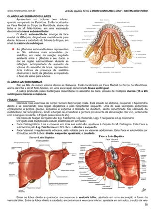 Arlindo Ugulino Netto ● MEDRESUMOS 2016 ● OMF – SISTEMA DIGESTÓRIO
28
www.medresumos.com.br
GLÂNDULAS SUBMANDIBULARES
Apresentam um volume bem inferior,
quando comparado às Parótidas. Estão localizados
na Face Medial do Corpo da Mandíbula, abaixo da
linha e do M. Milo-hioideo, em uma escavação
denominada fóvea submandibular.
O ducto submandibular emerge da face
medial da Glândula, dirigindo-se medialmente para
diante. Abre-se a cada lado do frênulo da língua, em
nível da carúncula sublingual.
As glândulas submandibulares representam
as Gls. salivares mais acometidas por
sialolitos, em razão da relação angulada
existente entre a glândula e seu ducto. a
dor na região submandibular, durante as
refeições, acompanhada de aumento de
volume do assoalho da boca, representam
forte indícios da presença de sialólitos
obstruindo o ducto da glândula, e impedindo
o fluxo da saliva para a boca.
GLÂNDULAS SUBLINGUAIS
São as Gls. de menor volume dentre as Salivares. Estão localizados na Face Medial do Corpo da Mandíbula,
acima da linha e do M. Milo-hióideo, em uma escavação denominada fóvea sublingual.
A saliva produzida pelas Sublinguais desemboca no assoalho da boca, através de múltiplos ductos (15 a 20)
sublinguais maiores e menores.
FÍGADO
Glândula mais volumosa do Corpo Humano tem função mista. Está situado no abdome, ocupando o hipocôndrio
direito e se estendendo pela região epigástrica e pelo hipocôndrio esquerdo. Uma de suas secreções endócrinas
corresponde a própria glicose, enquanto a exócrina é liberada no duodeno, sendo denominada bile (derivada do
metabolismo da hemoglobina), tendo a função de emulsificar a gordura proveniente da alimentação. No vivo, juntamente
com o sangue circulante, o Fígado pesa cerca de 2kg.
Os meios de fixação do fígado são: Lig. Falciforme, Lig. Redondo, Ligg. Triangulares e Lig. Coronário.
O Fígado está dividido para estudo anatômico em 02 Faces:
 Face Diafragmática: Lisa e convexa em toda sua extensão, ajusta-se à Cúpula do M. Diafragma. Esta Face é
subdividida pelo Lig. Falciforme em 02 Lobos: o direito e esquerdo.
 Face Visceral: irregularmente côncava, está voltada para as vísceras abdominais. Esta Face é subdividida por
03 sulcos, em 04 Lobos: direito; esquerdo; quadrado; e caudado.
Entre os lobos direito e quadrado, encontramos a vesícula biliar, ajustada em uma escavação a fossa da
vesícula biliar. Entre os lobos direito e caudado, encontramos a veia cava inferior, ajustada em um sulco, o sulco da veia
 