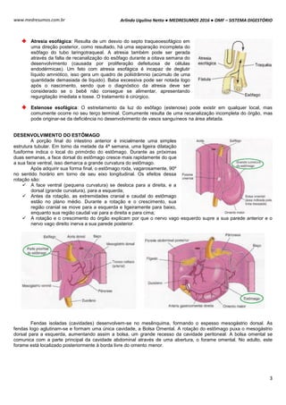 Arlindo Ugulino Netto ● MEDRESUMOS 2016 ● OMF – SISTEMA DIGESTÓRIO
3
www.medresumos.com.br
Atresia esofágica: Resulta de um desvio do septo traqueoesofágico em
uma direção posterior, como resultado, há uma separação incompleta do
esôfago do tubo laringotraqueal. A atresia também pode ser gerada
através da falta de recanalização do esôfago durante a oitava semana do
desenvolvimento (causada por proliferação defeituosa de células
endodérmicas). Um feto com atresia esofágica é incapaz de deglutir
líquido amniótico, isso gera um quadro de poliidrâmnio (acúmulo de uma
quantidade demasiada de líquido). Baba excessiva pode ser notada logo
após o nascimento, sendo que o diagnóstico da atresia deve ser
considerado se o bebê não consegue se alimentar, apresentando
regurgitação imediata e tosse. O tratamento é cirúrgico.
Estenose esofágica: O estreitamento da luz do esôfago (estenose) pode existir em qualquer local, mas
comumente ocorre no seu terço terminal. Comumente resulta de uma recanalização incompleta do órgão, mas
pode originar-se da deficiência no desenvolvimento de vasos sanguíneos na área afetada.
DESENVOLVIMENTO DO ESTÔMAGO
A porção final do intestino anterior é inicialmente uma simples
estrutura tubular. Em torno da metade da 4ª semana, uma ligeira dilatação
fusiforme indica o local do primórdio do estômago. Durante as próximas
duas semanas, a face dorsal do estômago cresce mais rapidamente do que
a sua face ventral, isso demarca a grande curvatura do estômago.
Após adquirir sua forma final, o estômago roda, vagarosamente, 90º
no sentido horário em torno de seu eixo longitudinal. Os efeitos dessa
rotação são:
 A face ventral (pequena curvatura) se desloca para a direita, e a
dorsal (grande curvatura), para a esquerda;
 Antes da rotação, as extremidades cranial e caudal do estômago
estão no plano médio. Durante a rotação e o crescimento, sua
região cranial se move para a esquerda e ligeiramente para baixo,
enquanto sua região caudal vai para a direita e para cima;
 A rotação e o crescimento do órgão explicam por que o nervo vago esquerdo supre a sua parede anterior e o
nervo vago direito inerva a sua parede posterior.
Fendas isoladas (cavidades) desenvolvem-se no mesênquima, formando o espesso mesogástrio dorsal. As
fendas logo aglutinam-se e formam uma única cavidade, a Bolsa Omental. A rotação do estômago puxa o mesogástrio
dorsal para a esquerda, aumentando assim a bolsa, um grande recesso da cavidade peritoneal. A bolsa omental se
comunica com a parte principal da cavidade abdominal através de uma abertura, o forame omental. No adulto, este
forame está localizado posteriormente à borda livre do omento menor.
 