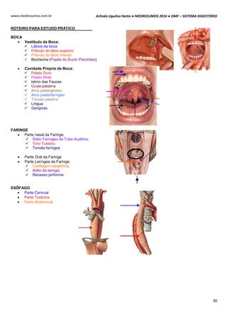 Arlindo Ugulino Netto ● MEDRESUMOS 2016 ● OMF – SISTEMA DIGESTÓRIO
30
www.medresumos.com.br
ROTEIRO PARA ESTUDO PRÁTICO
BOCA
 Vestíbulo da Boca:
 Lábios da boca
 Frênulo do lábio superior
 Frênulo do lábio Inferior
 Bochecha (Papila do Ducto Parotídeo)
 Cavidade Própria da Boca:
 Palato Duro
 Palato Mole
 Istmo das Fauces
 Úvula palatina
 Arco palatoglosso
 Arco palatofaríngeo
 Tonsila palatina
 Língua
 Gengivas
FARINGE
 Parte nasal da Faringe:
 Óstio Faríngeo da Tuba Auditiva;
 Toro Tubário;
 Tonsila faríngea
 Parte Oral da Faringe
 Parte Laríngea da Faringe:
 Cartilagem epiglótica;
 Adito da laringe;
 Recesso piriforme.
ESÔFAGO
 Parte Cervical
 Parte Torácica
 Parte Abdominal
 