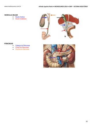 Arlindo Ugulino Netto ● MEDRESUMOS 2016 ● OMF – SISTEMA DIGESTÓRIO
32
www.medresumos.com.br
VESÍCULA BILIAR
 Ducto Cistíco
 Ducto Colédoco
PÂNCREAS
 Cabeça do Pâncreas
 Corpo do Pâncreas
 Cauda do Pâncreas
 