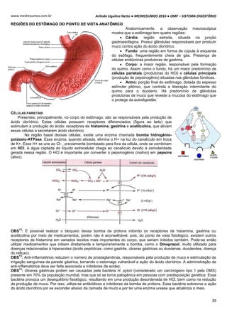 Arlindo Ugulino Netto ● MEDRESUMOS 2016 ● OMF – SISTEMA DIGESTÓRIO
39
www.medresumos.com.br
REGIÕES DO ESTÕMAGO DO PONTO DE VISTA ANATÔMICO
Anatomicamente, a observação macroscópica
mostra que o estômago tem quatro regiões:
 Cárdia: região estreita, situada na junção
gastroesofágica. Possui glândulas responsáveis por produzir
muco contra ação do ácido clorídrico.
 Fundo: uma região em forma de cúpula à esquerda
do esôfago, frequentemente cheia de gás. Presença de
células endócrinas produtoras de gastrina.
 Corpo: a maior região, responsável pela formação
do quimo. Assim como o fundo, há um maior predomínio de
células parietais (produtoras do HCl) e células principais
(produção de pepsinogênio) situadas nas glândulas fúndicas.
 Antro: porção final do estômago, dotada do espesso
esfíncter pilórico, que controla a liberação intermitente do
quimo para o duodeno. Há predomínio de glândulas
produtoras de muco que reveste a mucosa do estômago que
o protege da autodigestão.
CÉLULAS PARIETAIS
Presentes, principalmente, no corpo do estômago, são as responsáveis pela produção de
ácido clorídrico. Estas células possuem receptores diferenciados (figura ao lado) que
estimulam a produção do ácido: receptores de histamina, gastrina e acetilcolina, que ativam
essas células a secretarem ácido clorídrico.
Na região basal dessas células, existe uma enzima chamada bomba hidrogênio-
potássio-ATPase. Essa enzima, quando ativada, elimina o H+ na luz do canalículo em troca
de K+. Esse H+ se une ao Cl- , previamente bombeado para fora da célula, onde se combinam
em HCl. A água captada do líquido extracelular chega ao canalículo devido à osmolaridade
gerada nessa região. O HCl é importante por converter o pepsinogênio (inativo) em pepsina
(ativo).
OBS
12
: É possível realizar o bloqueio dessa bomba de prótons inibindo os receptores de histamina, gastrina ou
acetilcolina por meio de medicamentos, porém não é aconselhável, pois, do ponto de vista fisiológico, existem outros
receptores de histamina em variados tecidos mais importantes do corpo, que seriam inibidos também. Pode-se então
utilizar medicamentos que inibam diretamente e temporariamente a bomba, como o Omeprazol, muito utilizado para
doenças relacionadas à hiperacidez (ácido peptídicas, como gastrite, úlceras gástricas ou duodenas, duodenites, doença
do refluxo).
OBS
13
: Anti-inflamatórios reduzem o número de prostaglandinas, responsáveis pela produção de muco e estimulação da
irrigação sanguínea da parede gástrica, tornando o estomago vulnerável a ação do ácido clorídrico. A administração de
anti-inflamatórios deve ser feita associada a inibidores da acidez.
OBS
14
: Ulceras gástricas podem ser causadas pela bactéria H. pylori (considerado um carcinógeno tipo 1 pela OMS)
presente em 70% da população mundial, mas que só se torna patogênica em pessoas com predisposição genética. Essa
bactéria provoca um desequilíbrio fisiológico, resultando em uma produção desordenada de HCl, bem como na redução
da produção de muco. Por isso, utiliza-se antibióticos e inibidores da bomba de prótons. Essa bactéria sobrevive a ação
do ácido clorídrico por se esconder abaixo da camada de muco e por ter uma enzima urease que alcaliniza o meio.
 